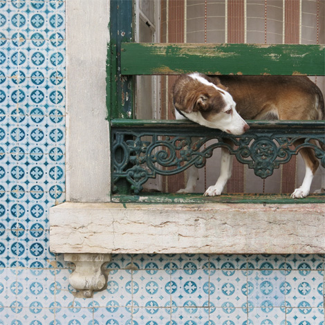Lisbon Street Scene