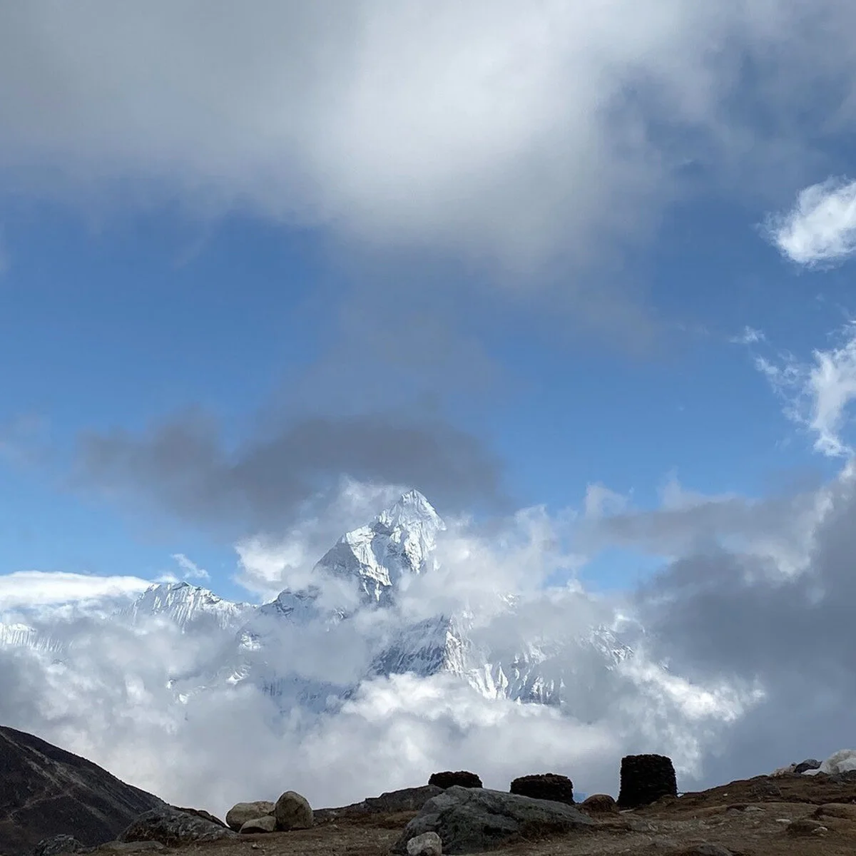 stewardship — respect for the planet, the environment, and all people. Heal, nurture, sustain, improve.