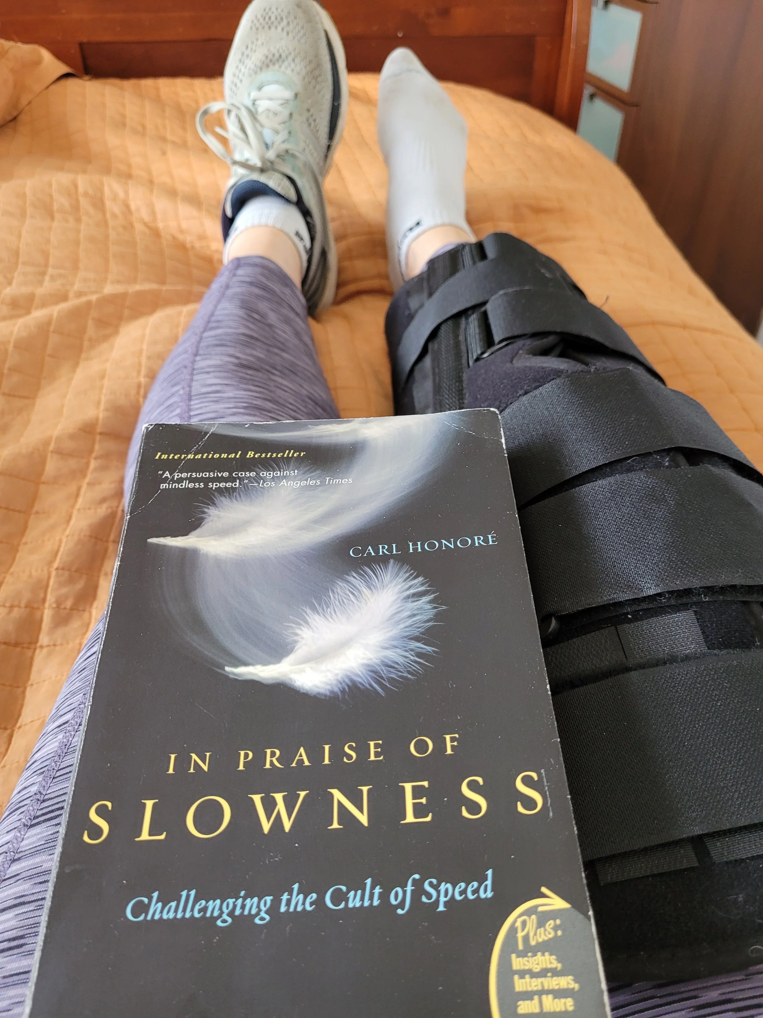 photo QCH promo 2.jpeg