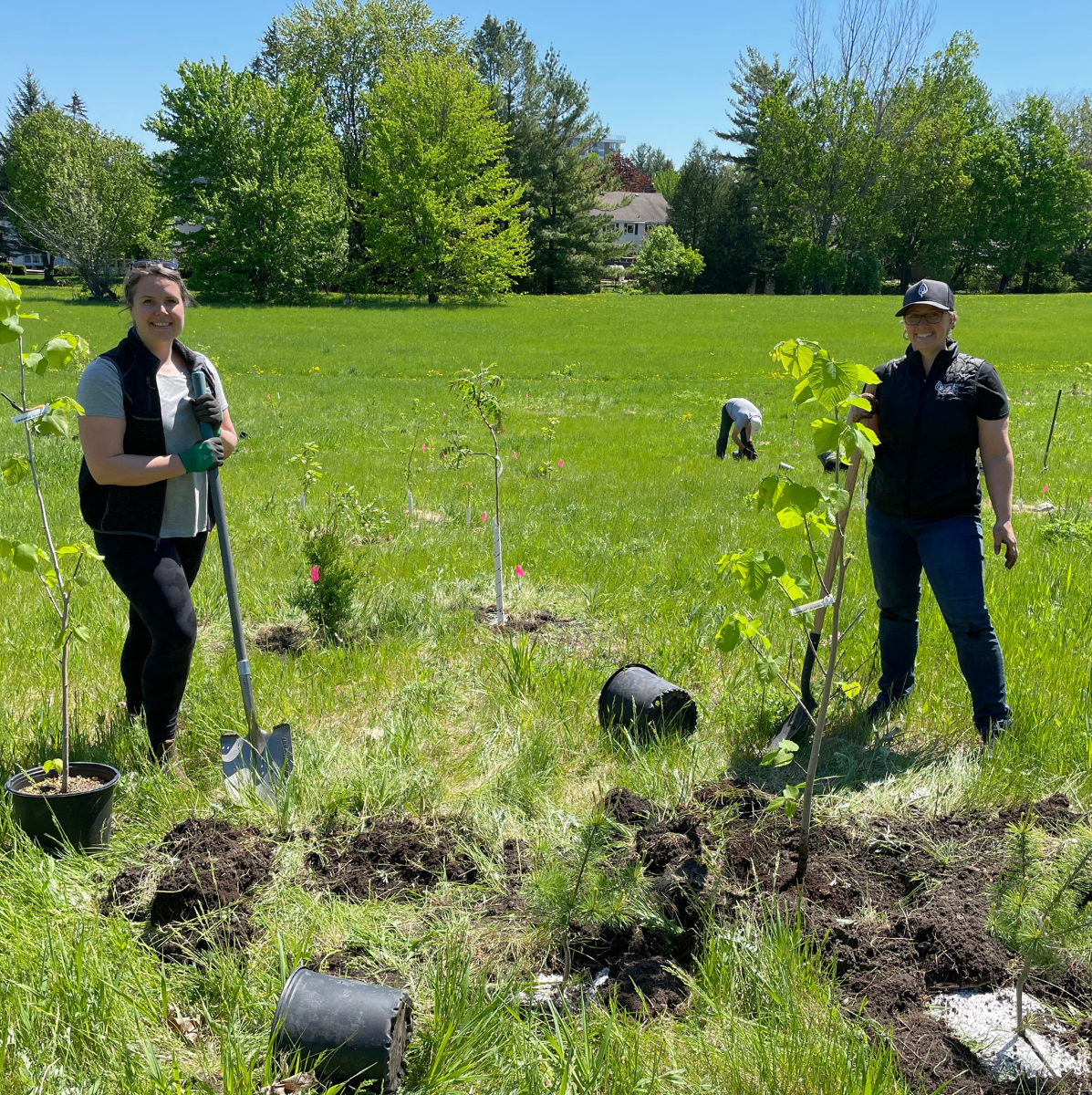 Celebrating Earth Day : Caring for Patients and the Planet 