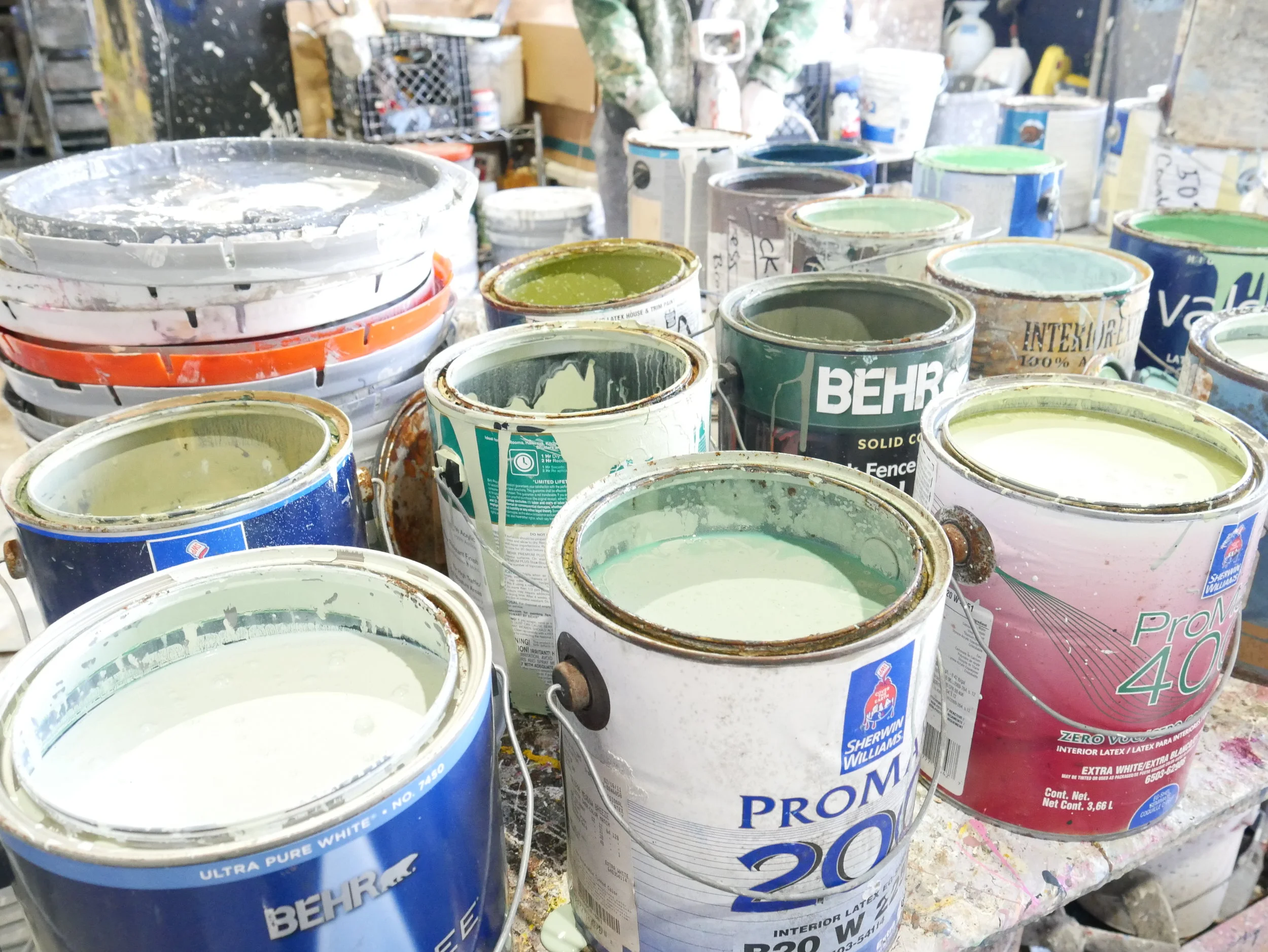 Paint Disposal Guide — the Green Project
