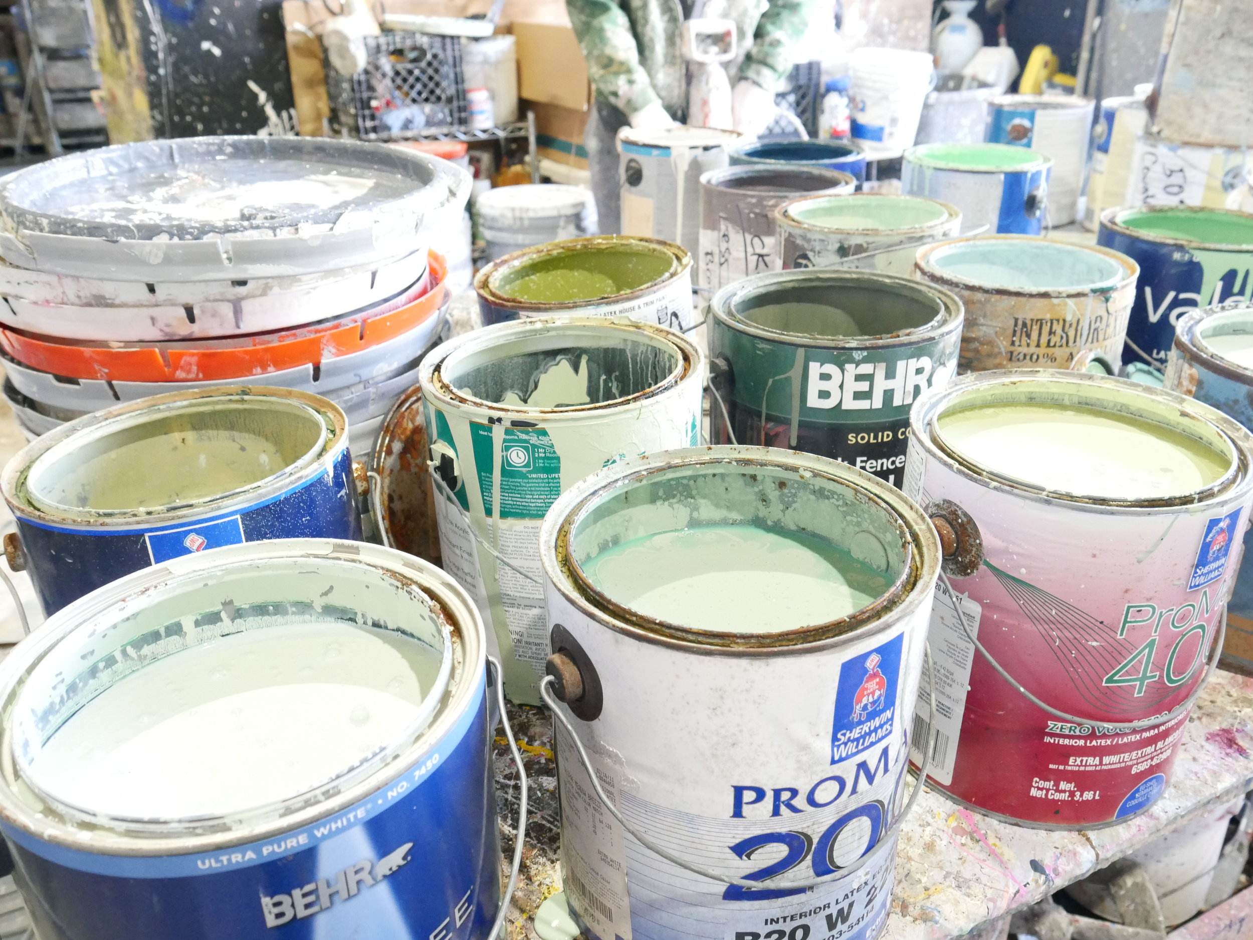 Paint Disposal Guide — the Green Project