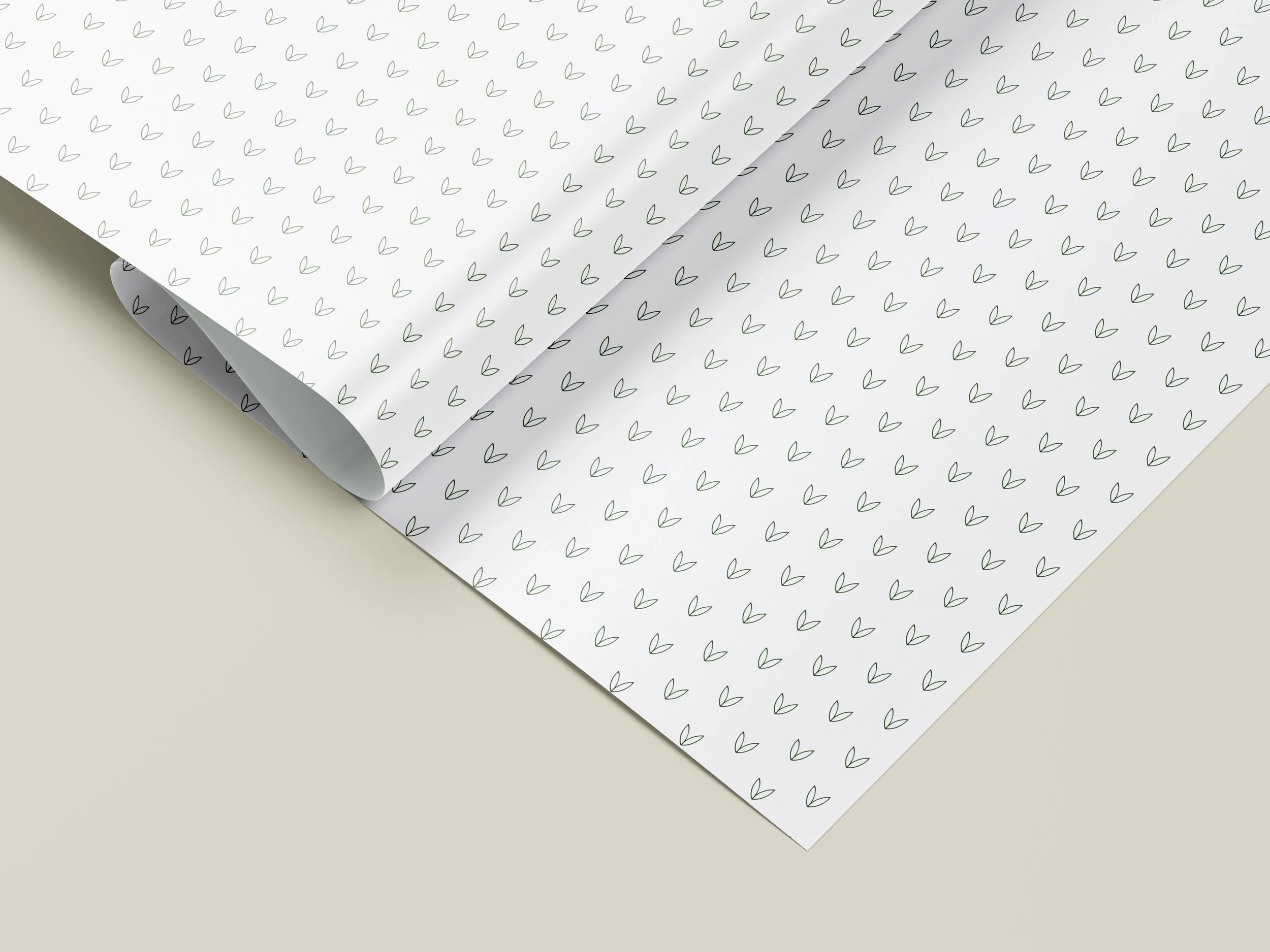 PAPER.jpg