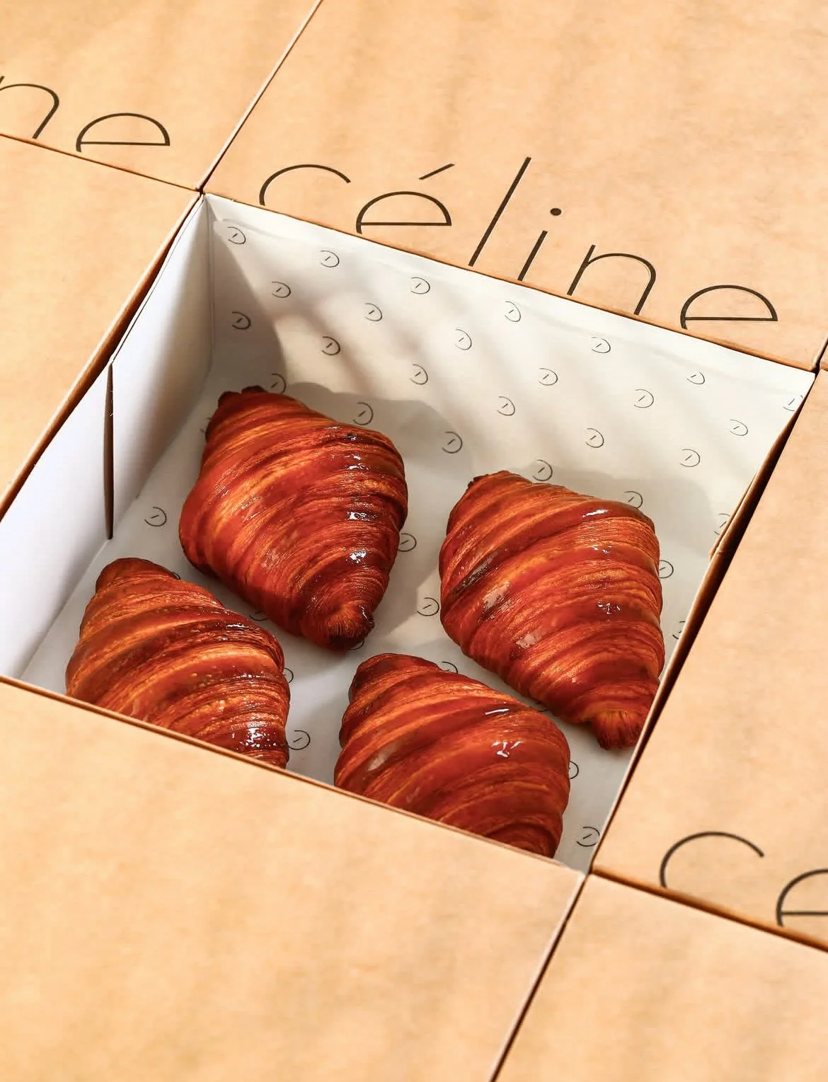 Celine | Paris