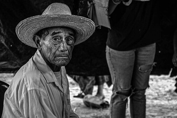 Hombre Viejo Francis Ward