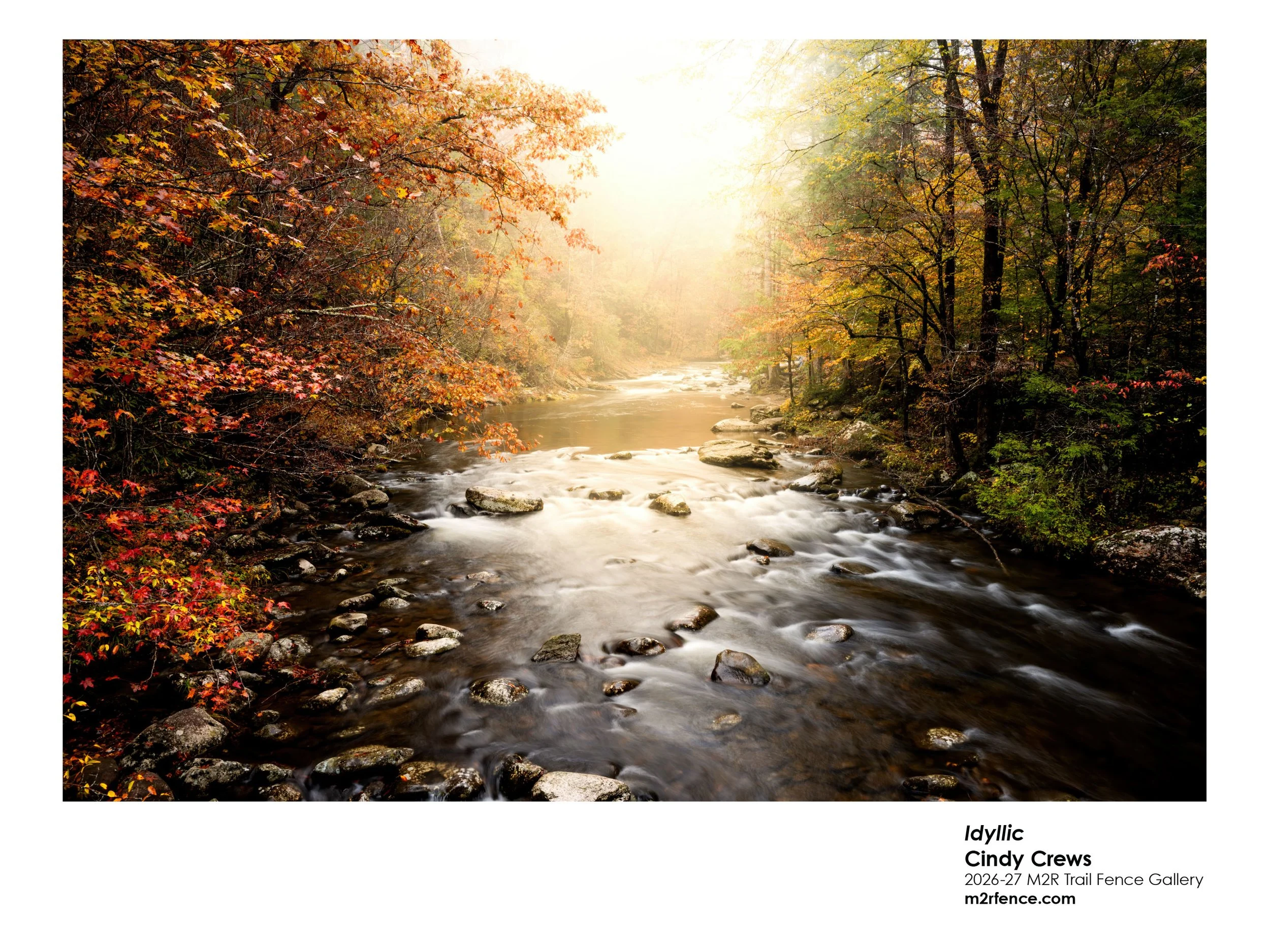 Crews_Cindy_Idyllic - Cindy Crews.jpg