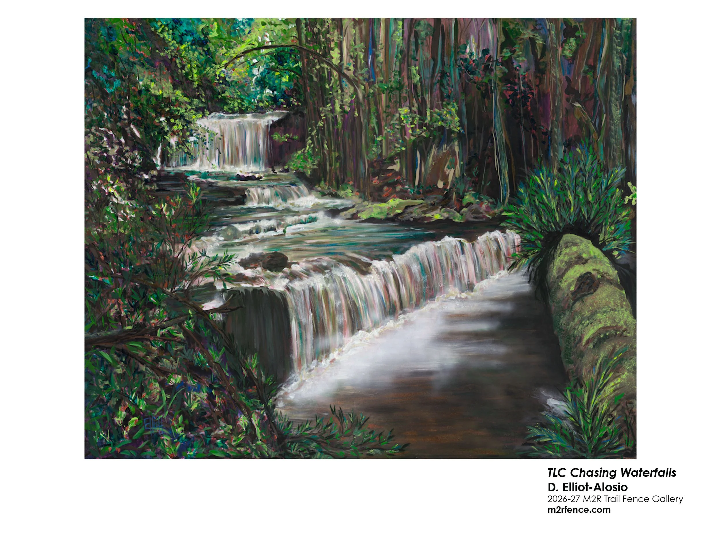 D_Elliott-Aloisio_TLCChasingWaterfalls - Debbie E-A.jpg