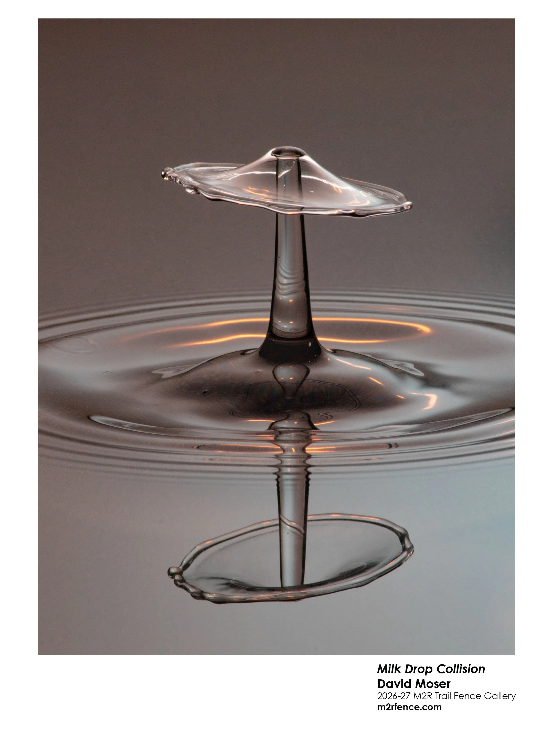 David_Moser_Water drop collision - David Moser.jpg