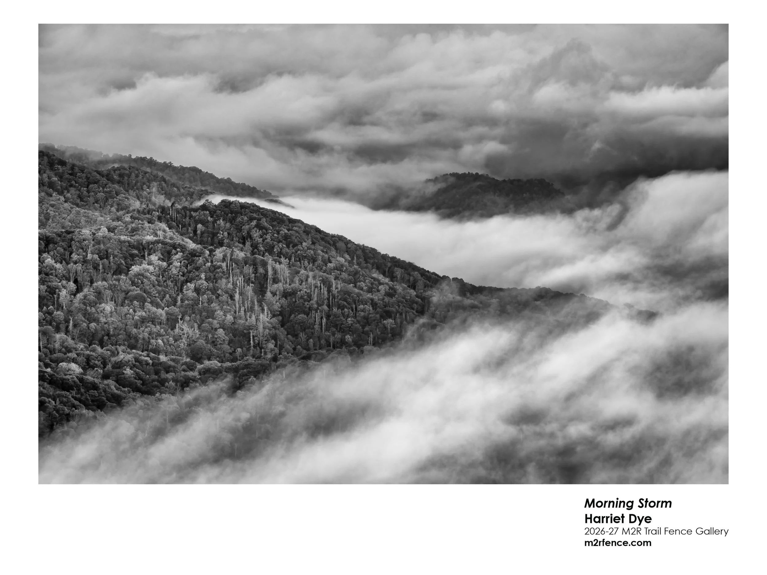 Harriet_Dye_Morning Storm - Harriet Dye.jpg