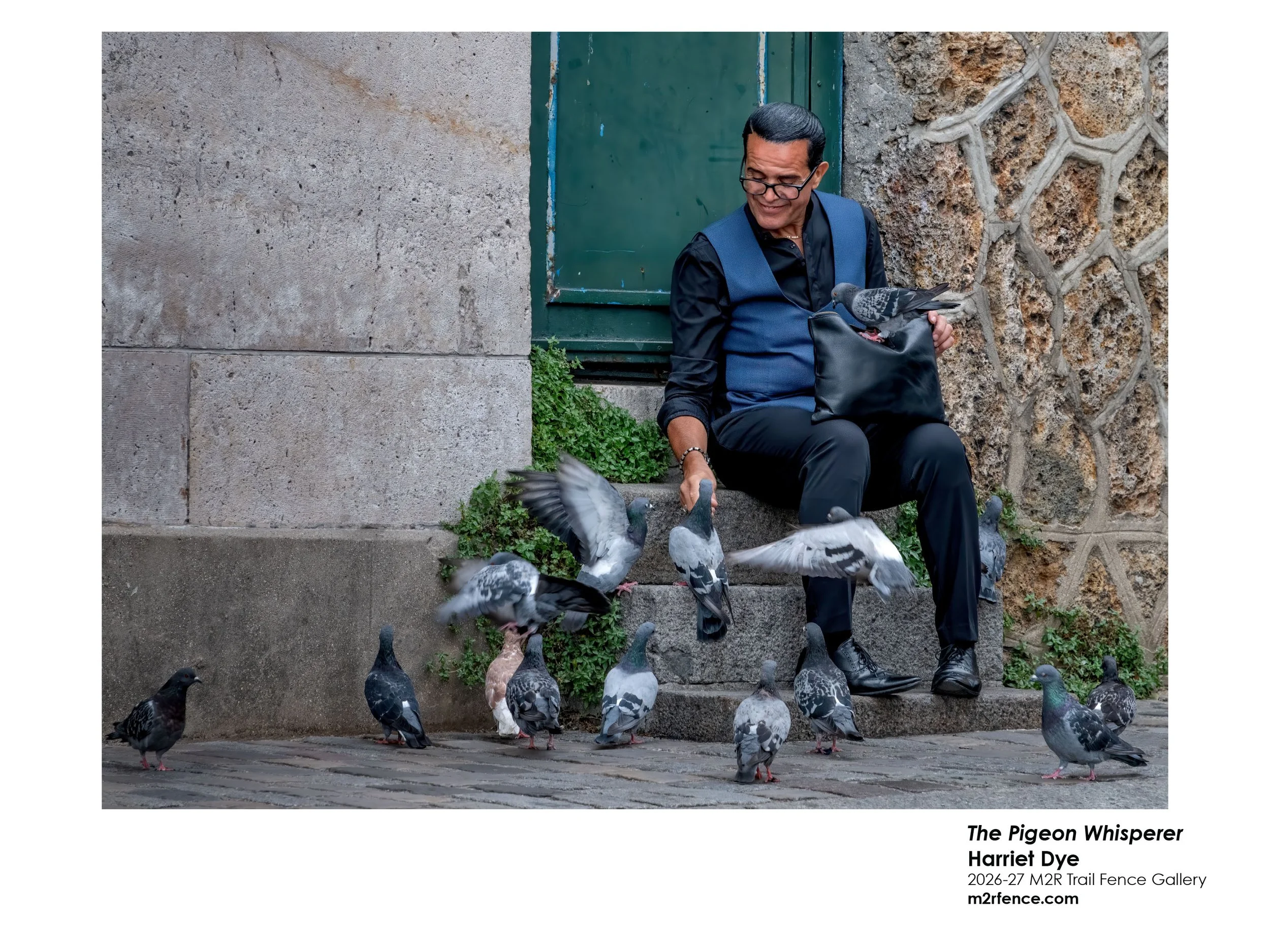 Harriet_Dye_The Pigeon Whisperer - Harriet Dye.jpg