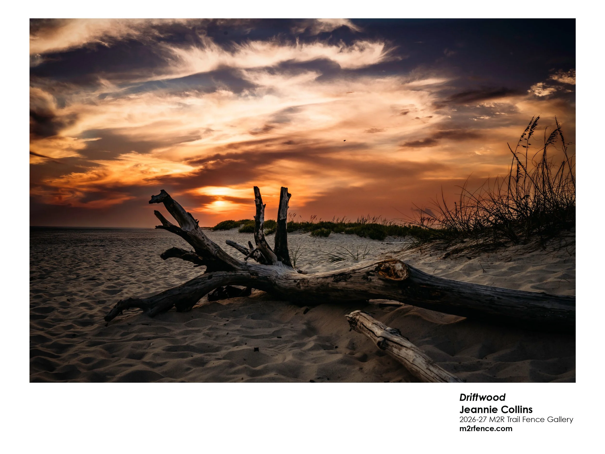 Jeannie_Collins_Driftwood - JC Junk.jpg