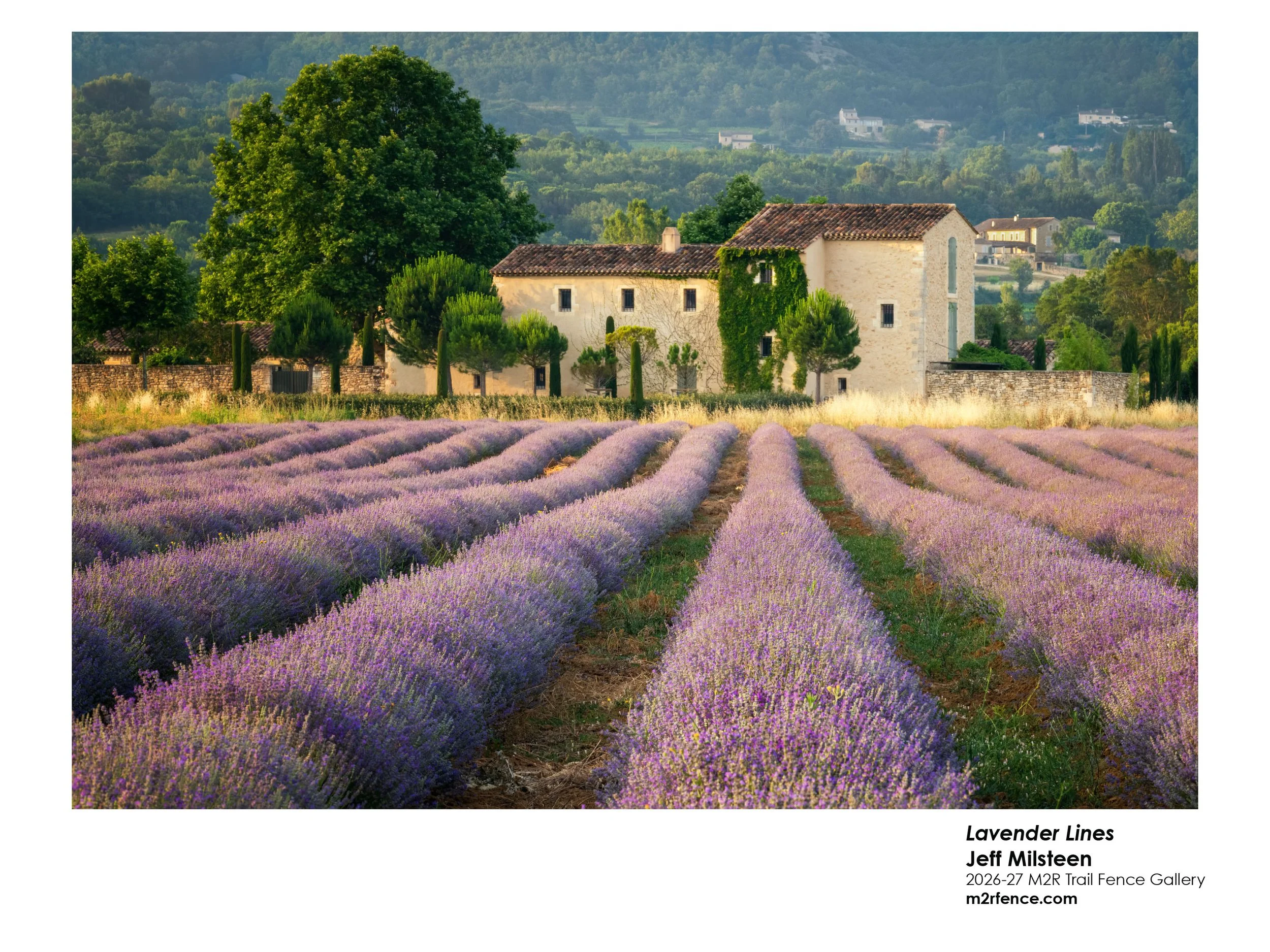 Jeff_Milsteen_ Lavender Lines - Jeff Milsteen.jpg