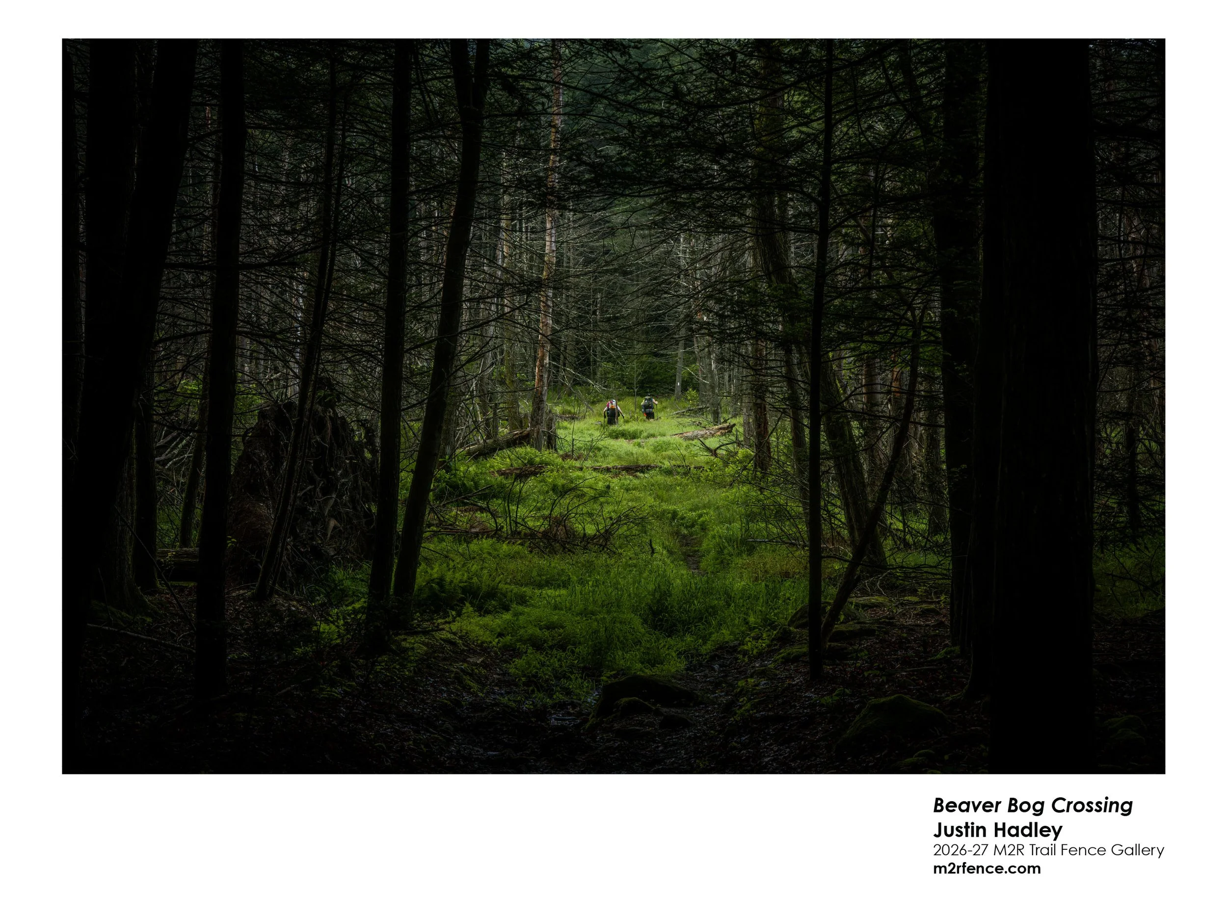 Justin_Hadley_Beaver Bog Crossing - Justin Hadley.jpg