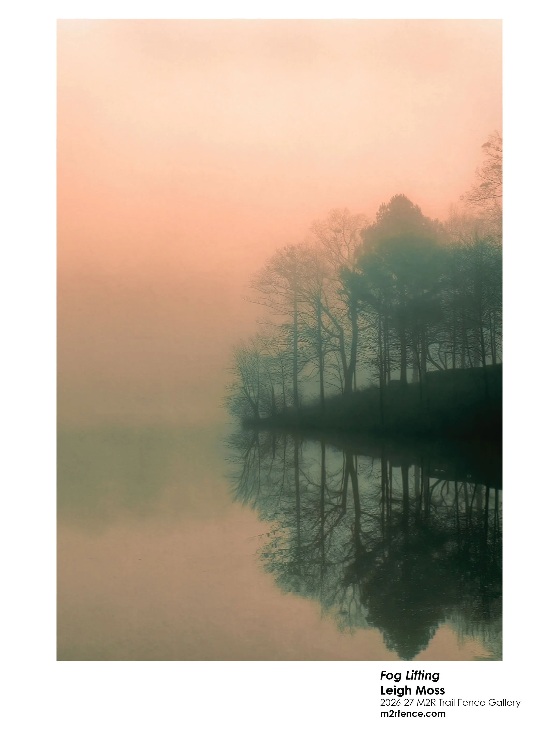 Leigh_Moss_Fog Lifting - Leigh Moss.jpg