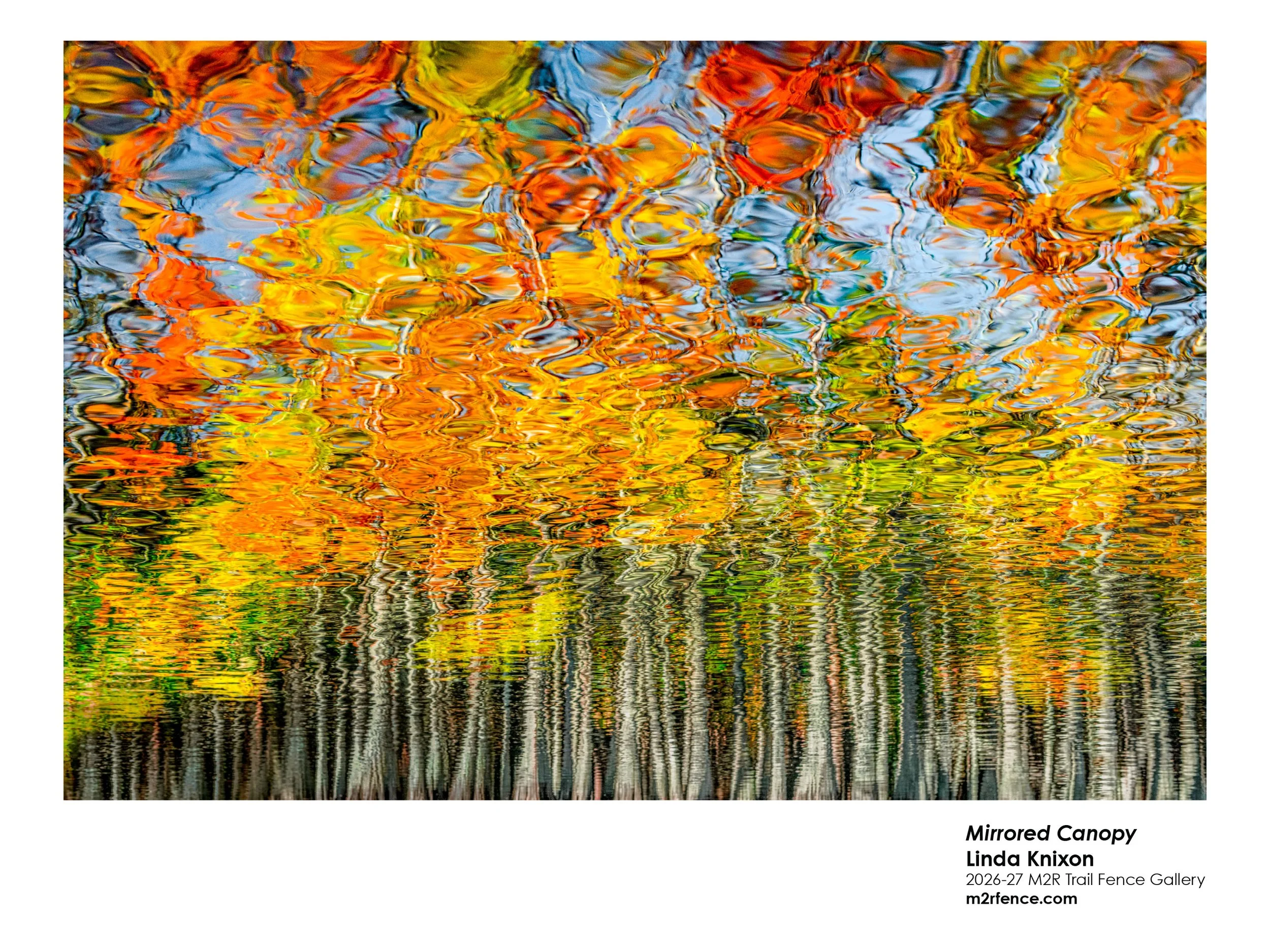 Linda_Nixon_Mirrored Canopy - Linda Nixon.jpg