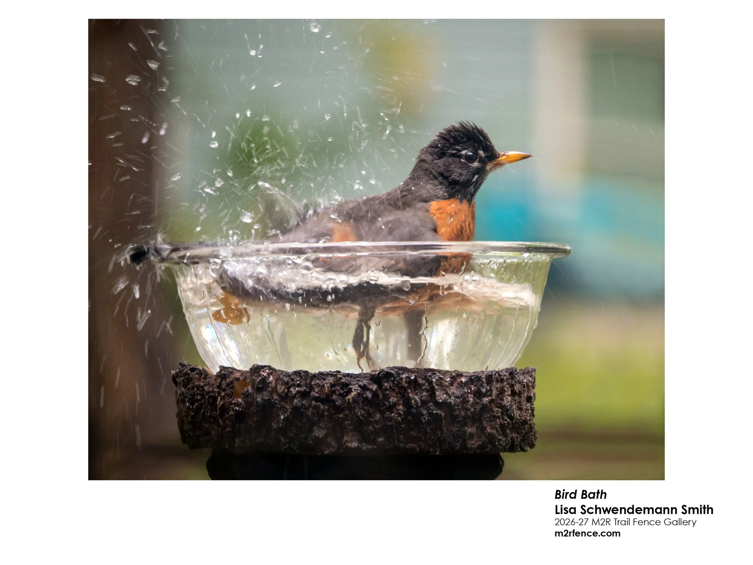 Lisa_SchwendemannSmith_BirdBath - Lisa Schwendemann Smith.jpg