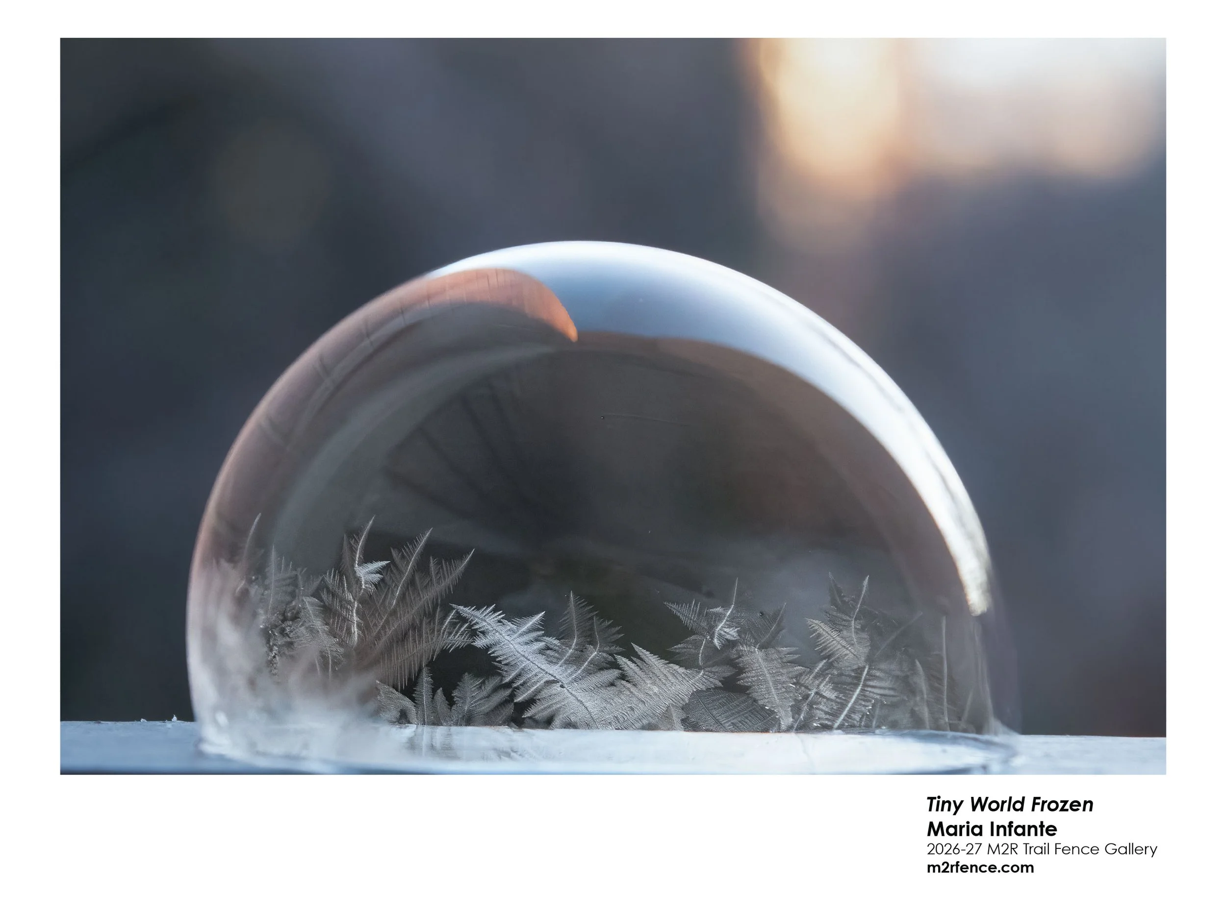 Maria_Infante_Tiny_World_Frozen - Maria Infante.jpg