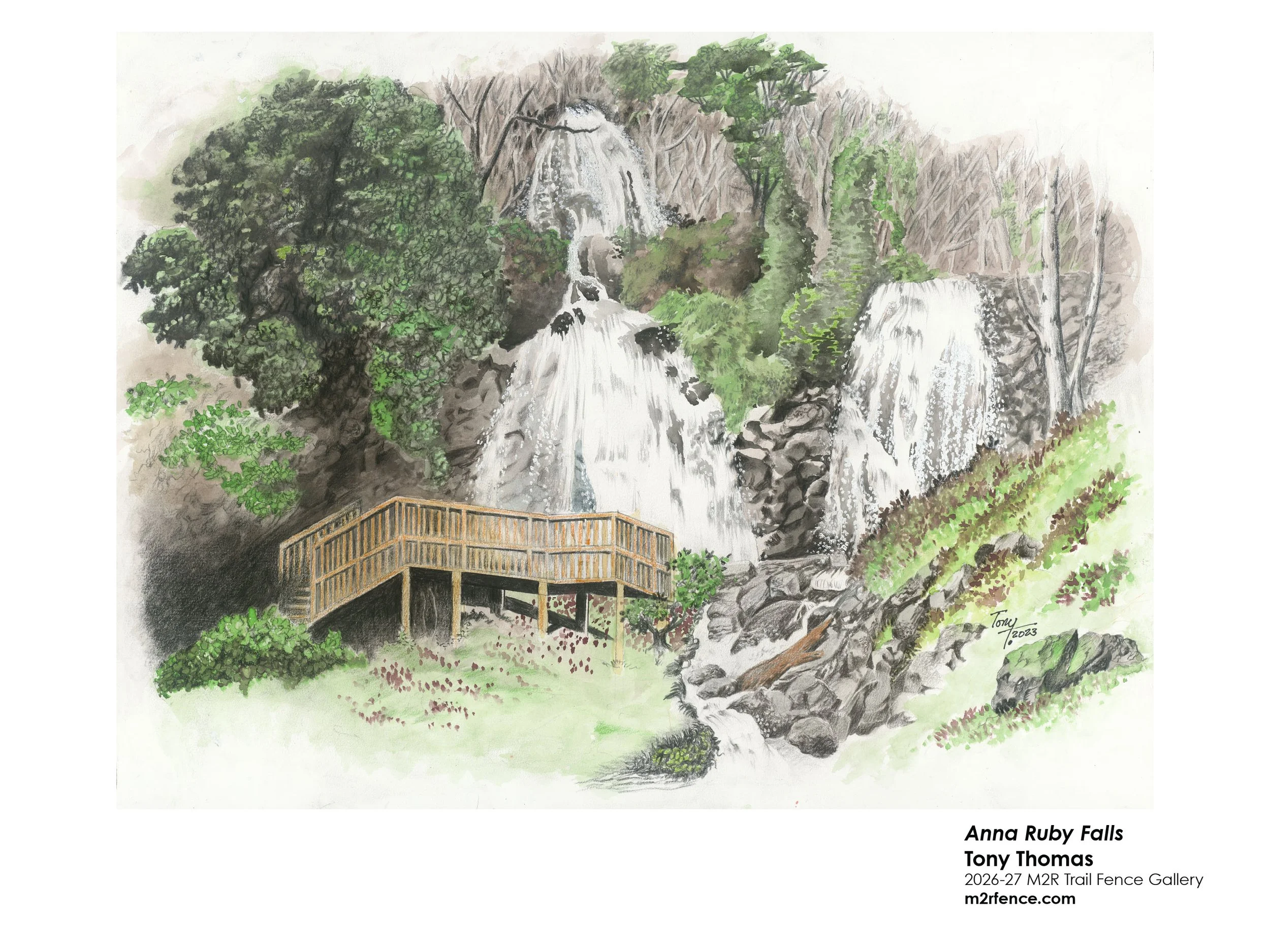Tony_Thomas_Anna Ruby Falls - Tony Thomas.jpg