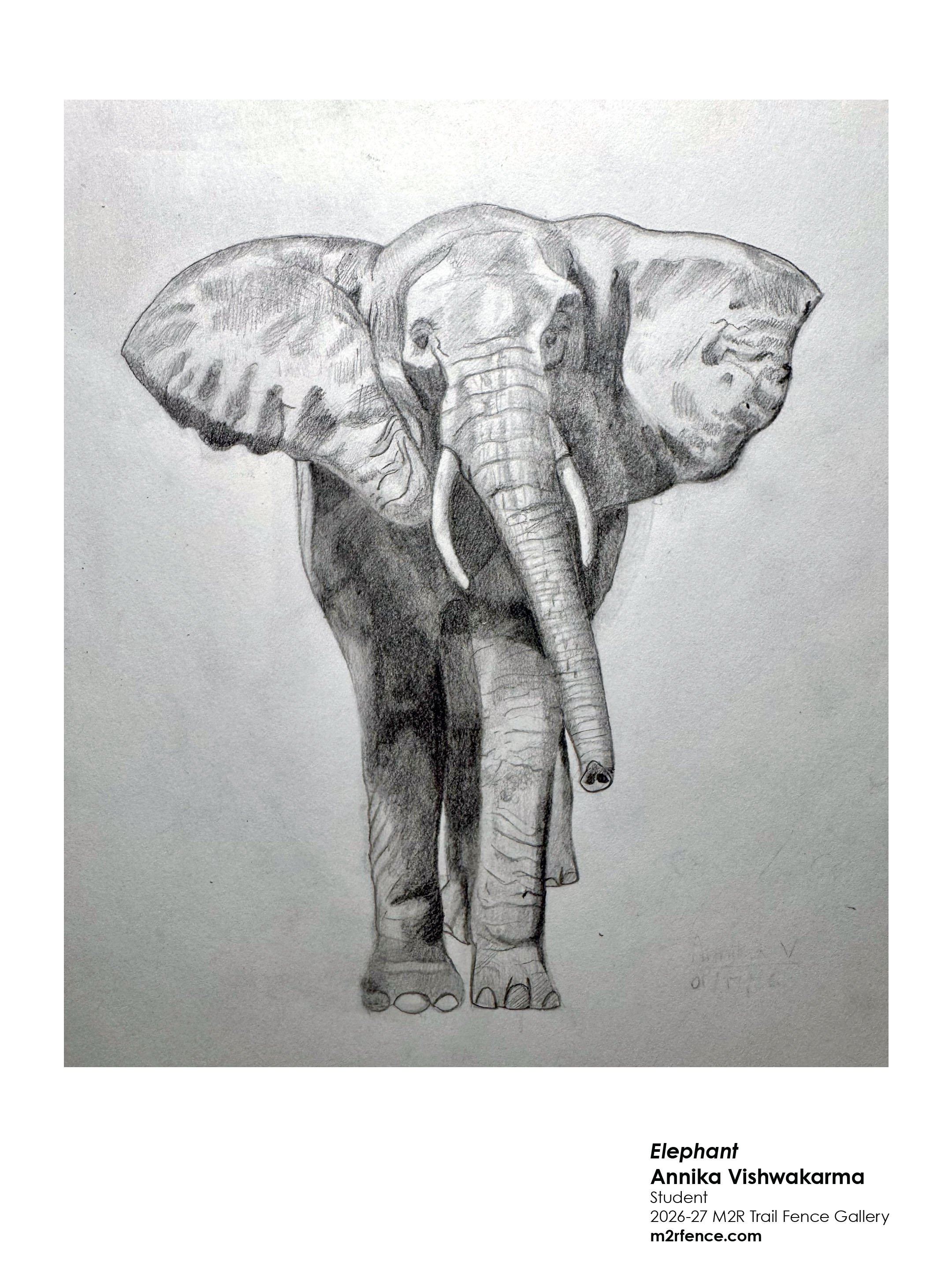 annika_vishwakarma_elephant - Suchitra Sharma.jpg
