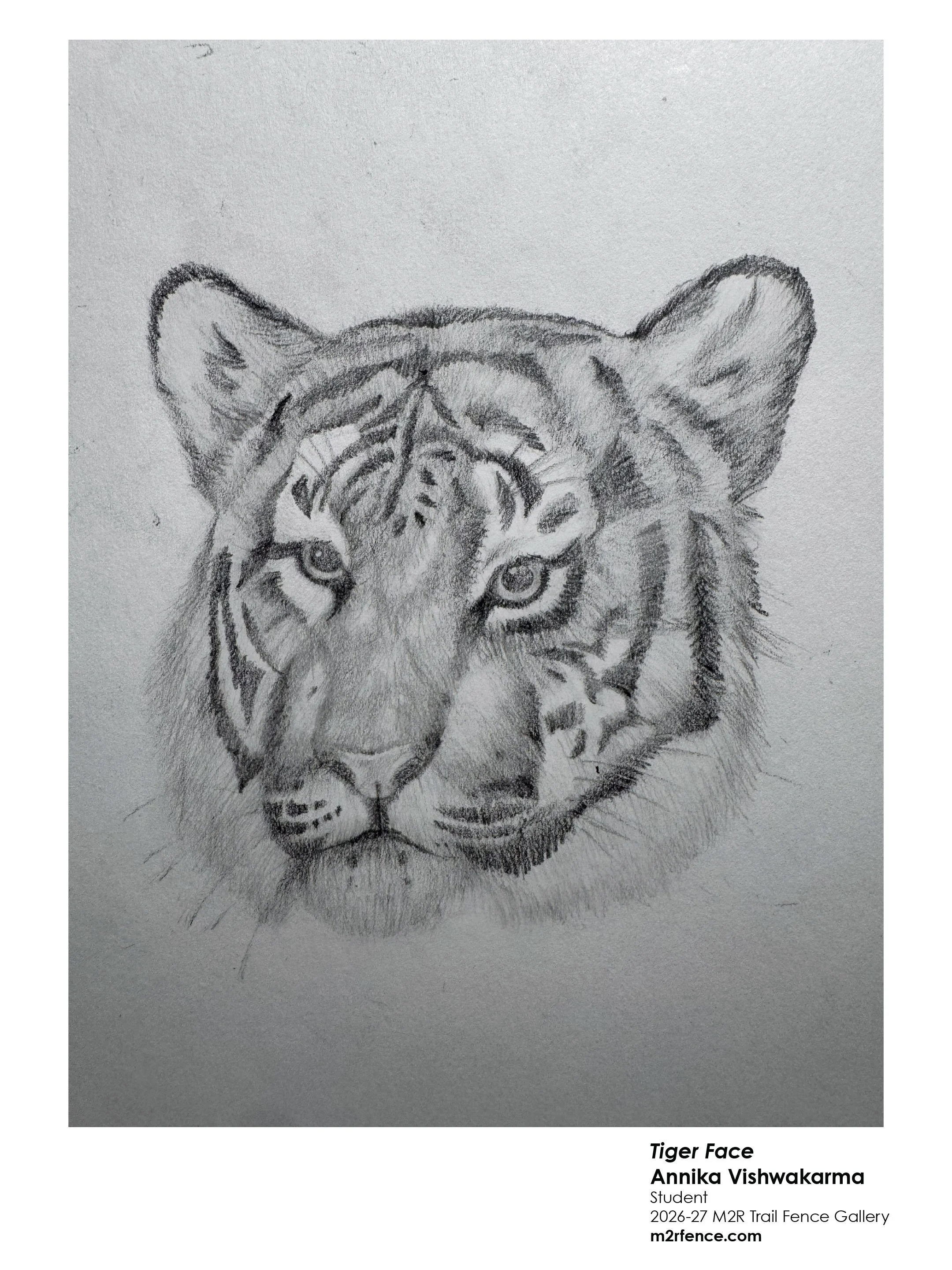 annika_vishwakarma_tigerface - Suchitra Sharma.jpg