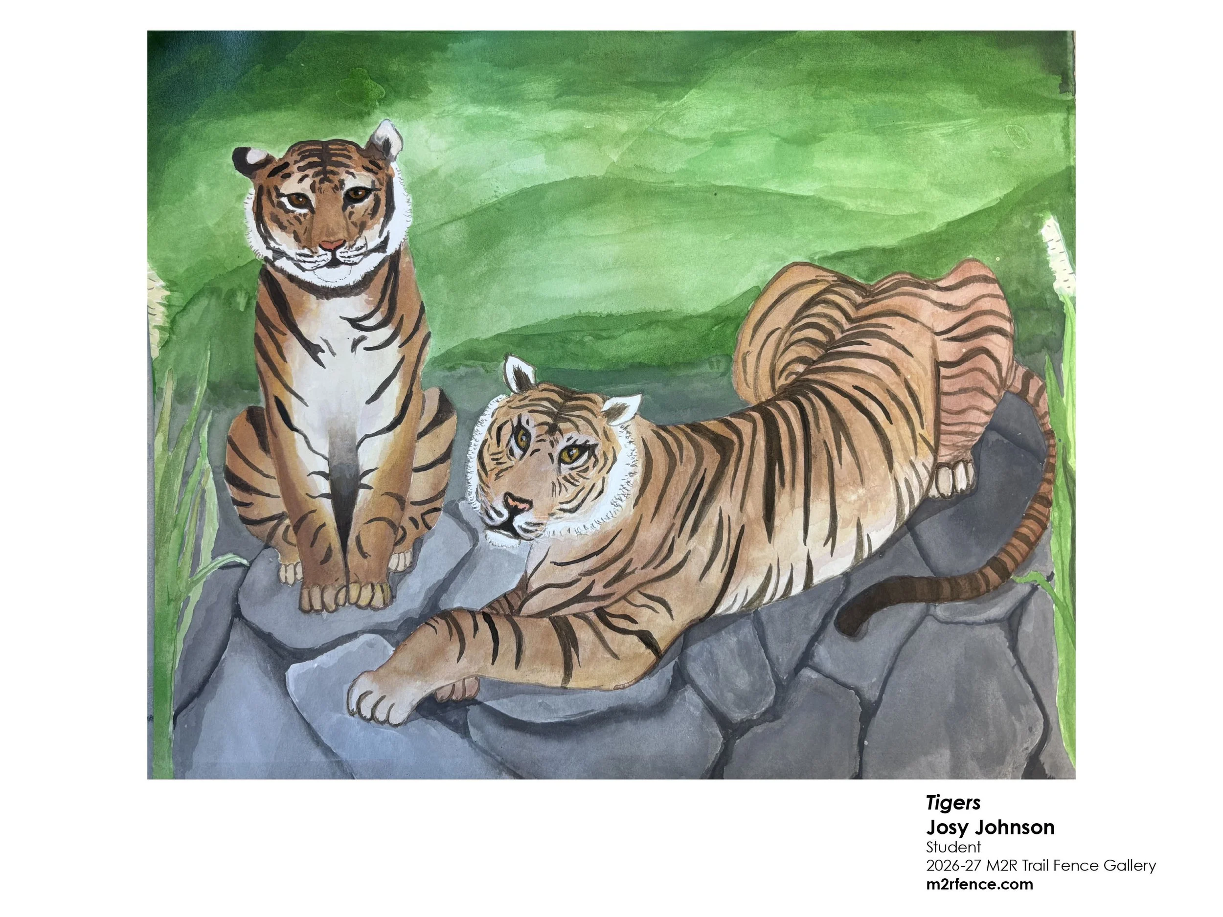 Josy_Johnson_Tigers - Finn Johnson.jpg