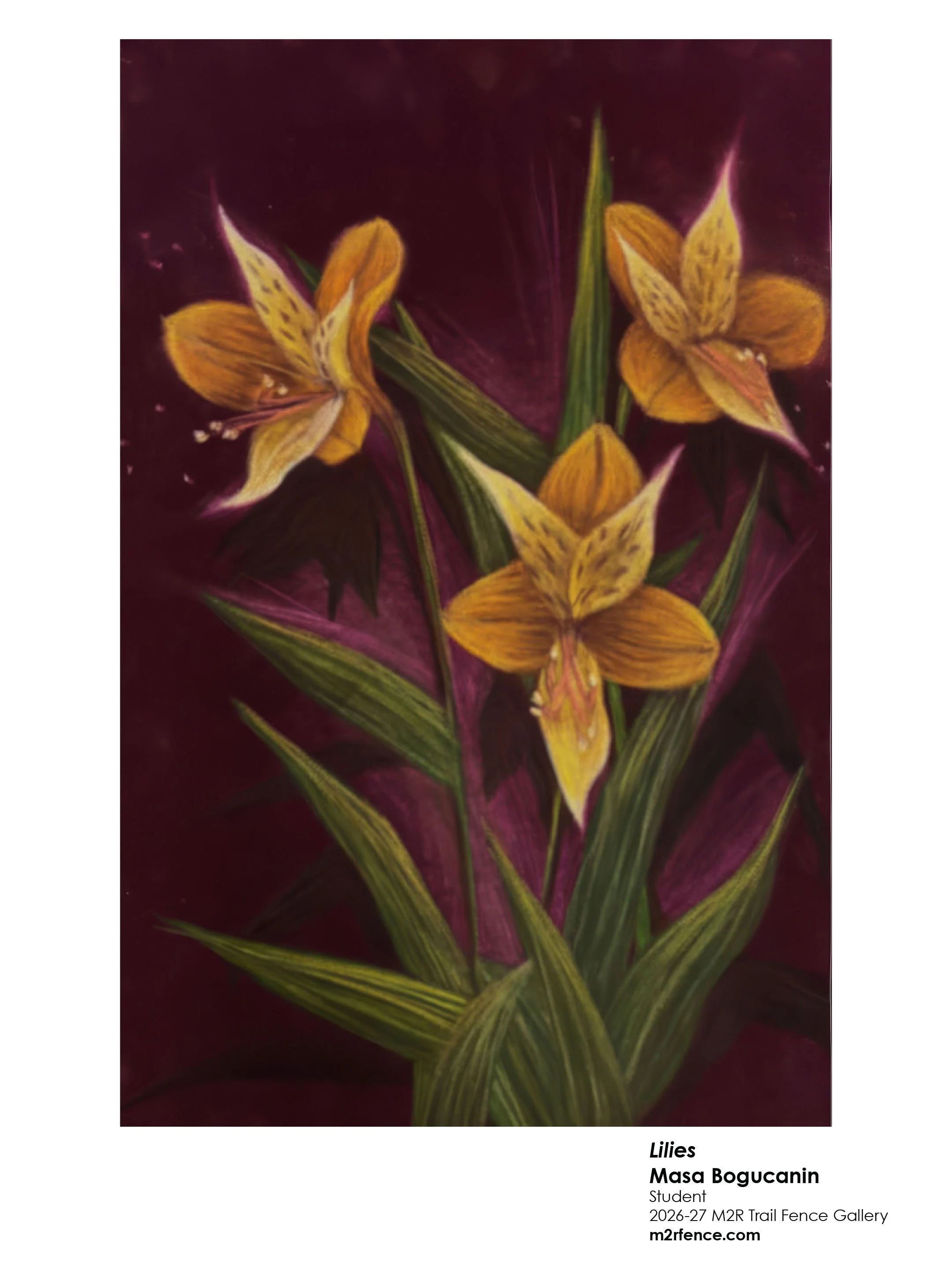 Masa Bogucanin - Lilies.jpg