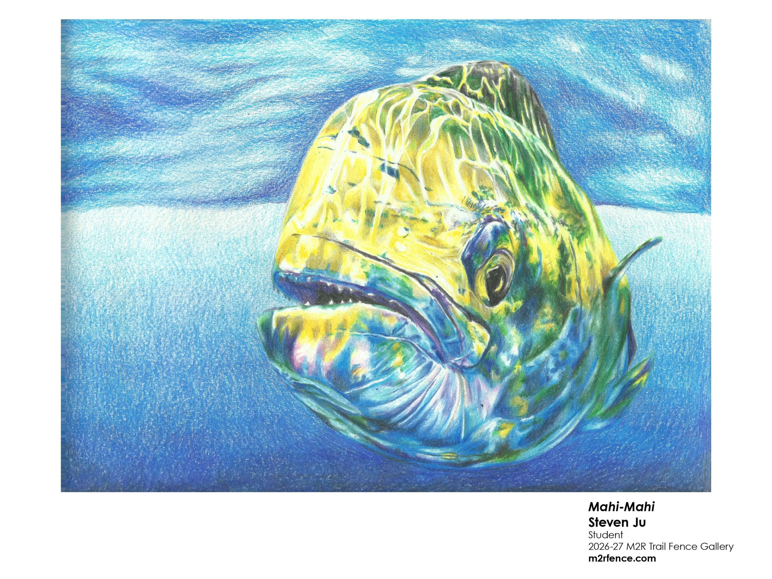 Steven_Ju_Mahi-Mahi - Steven Ju.jpg