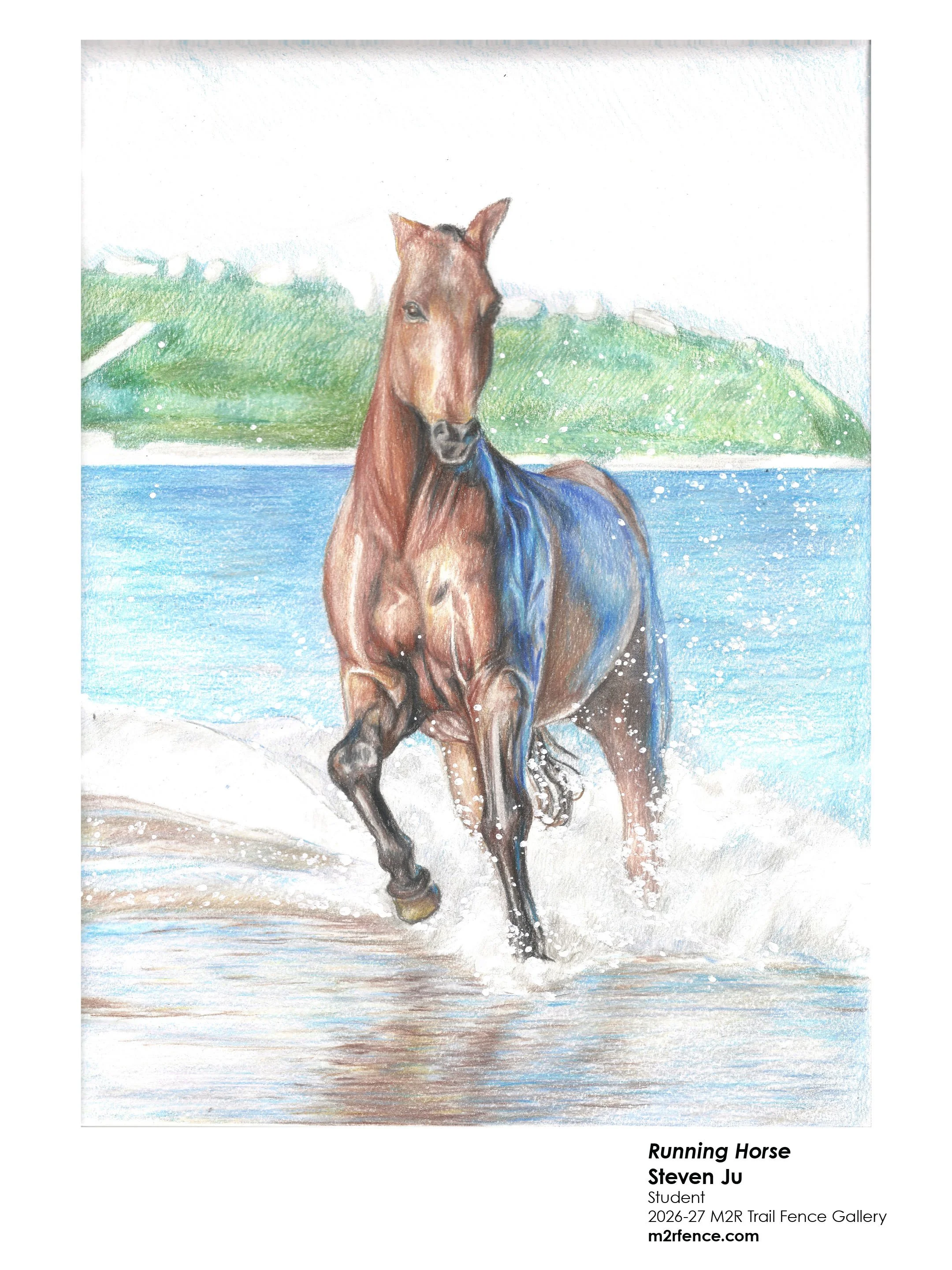 Steven_Ju_Running Horse - Steven Ju.jpg