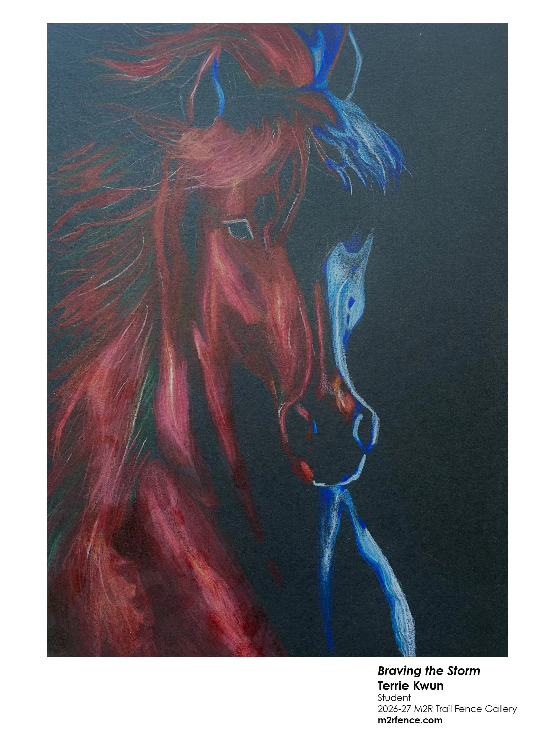 Terrie_Kwun_Braving the Storm - Sohyun An.jpg
