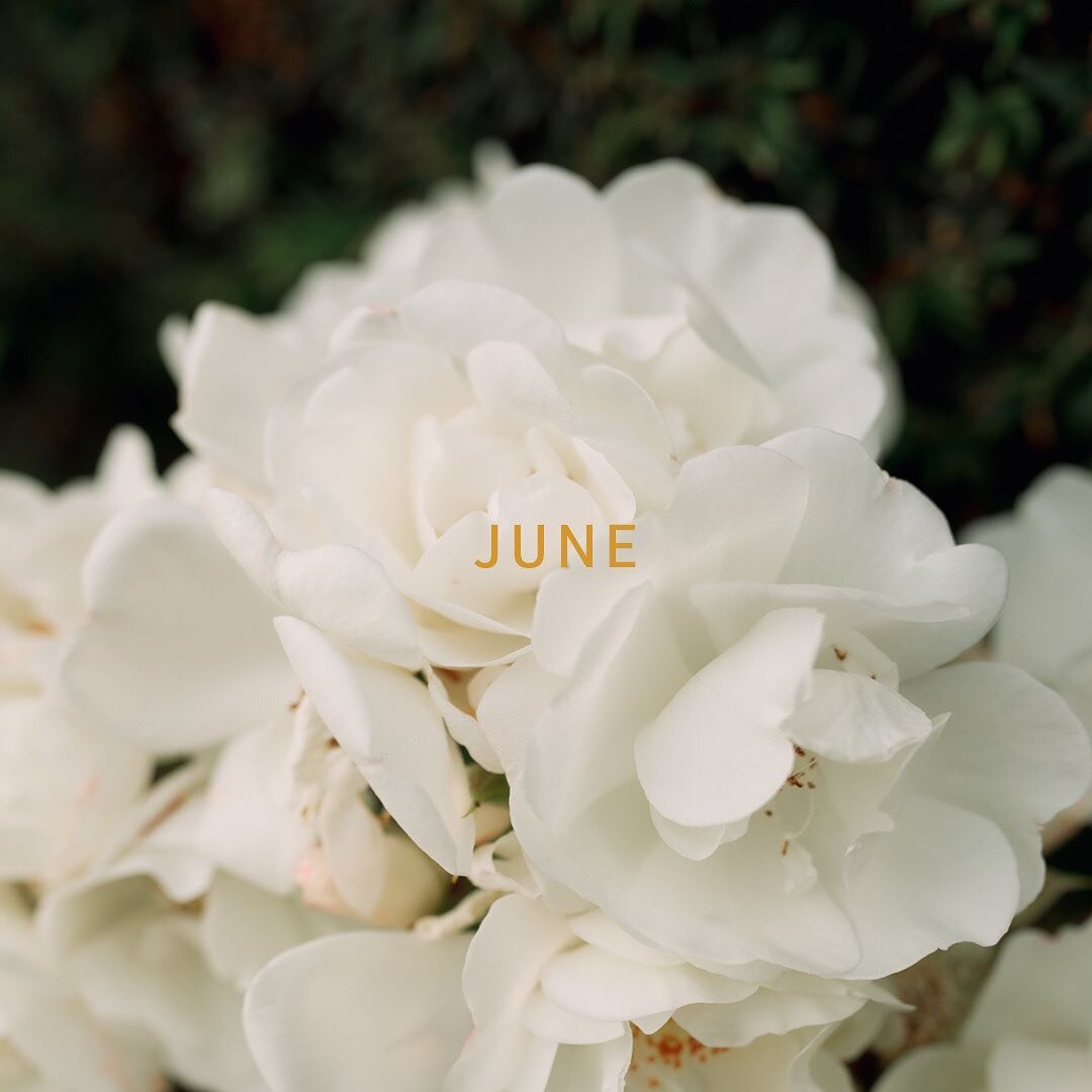 June bloom 🌸