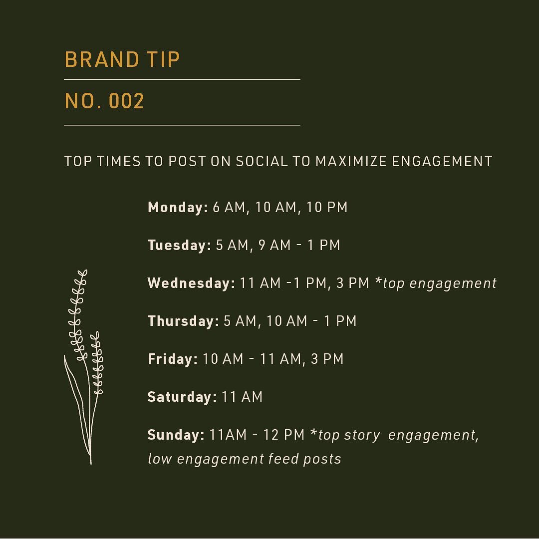 Social is a great space to build your brand identity, build community around your brand values and engage with your consumers directly. Here are some weekly times gathered from our favorite resources and experience to maximize engagement!

Our team i