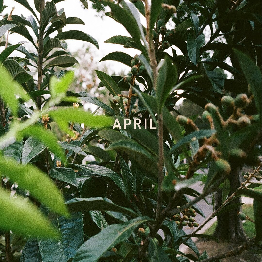 And here we are, bring on the new energy, April 🌱

#april #april2021 #newmonth #newenergy #bloomwhereyouareplanted #photooftheday #springiscoming #springenergy #inspiredbynature