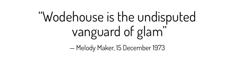 Melody Maker Quote.png
