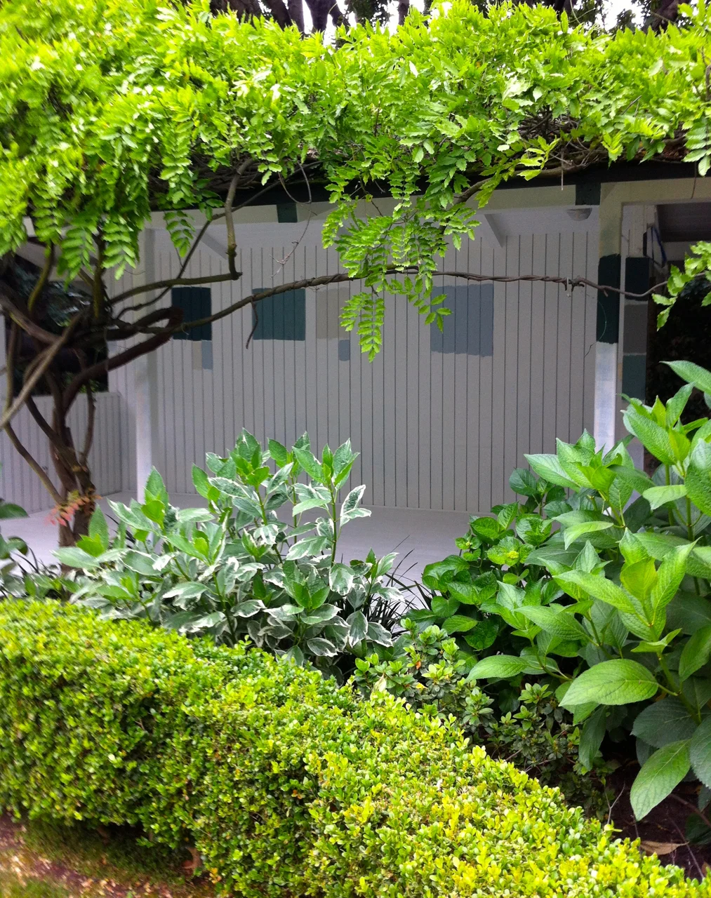 tea house.jpg
