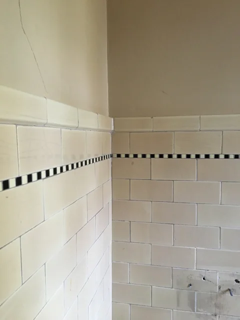 mauvebathtile.jpg