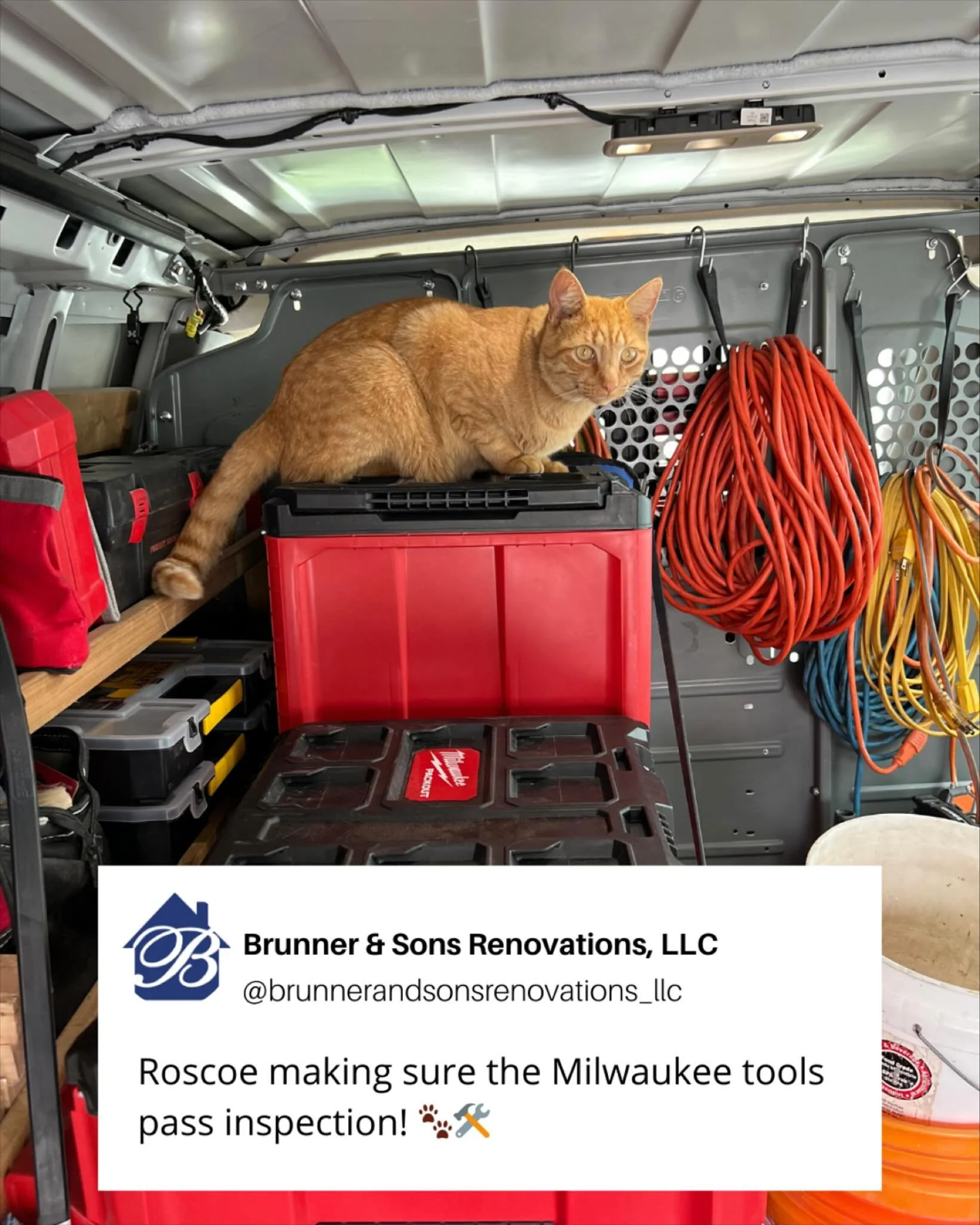 Even Roscoe knows Milwaukee tools get the job done right ✅🐾 Brunner &amp; Sons approved!