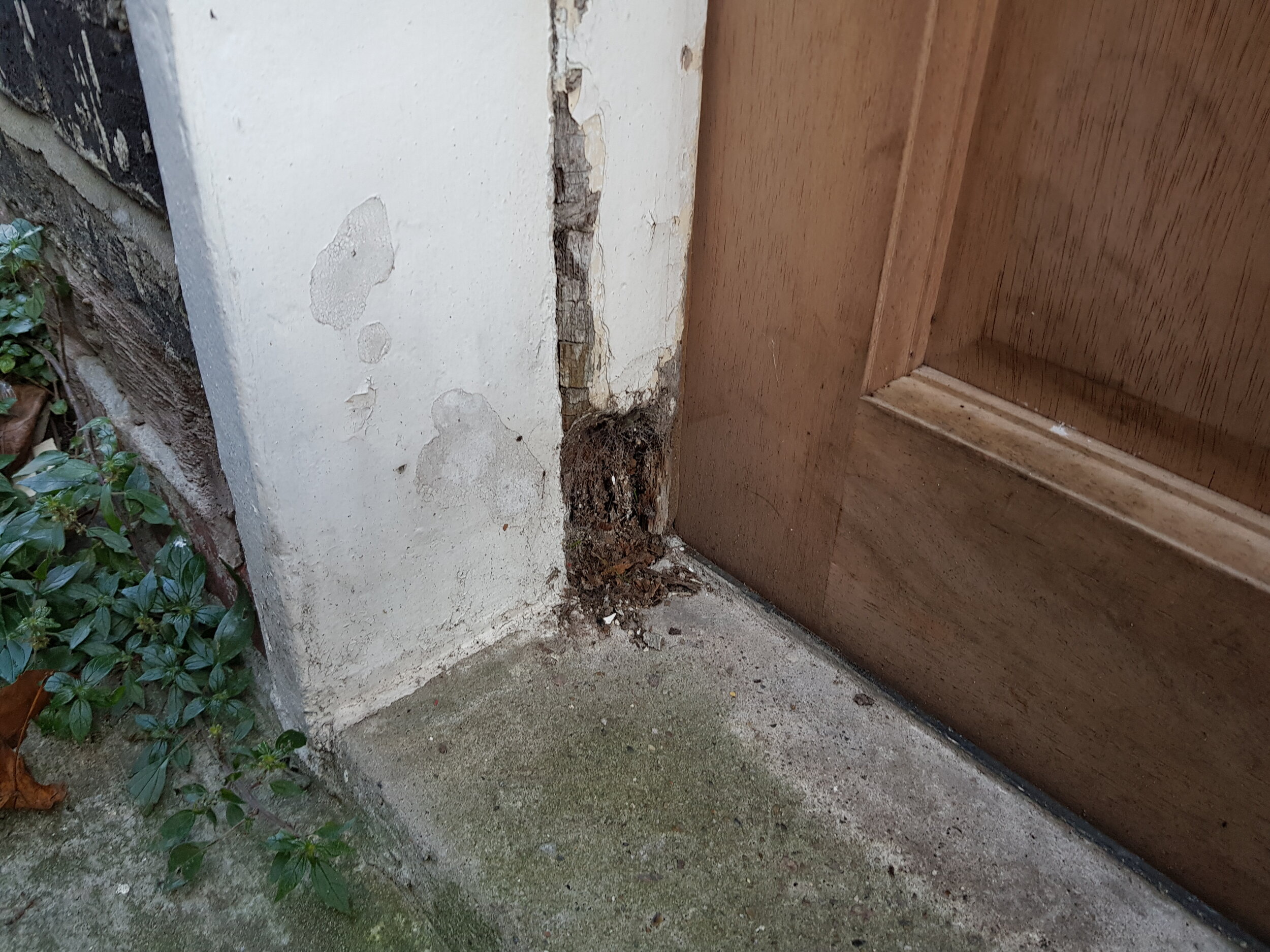 C W Johnson Limited Chartered Surveyors - Wet rot to door frame