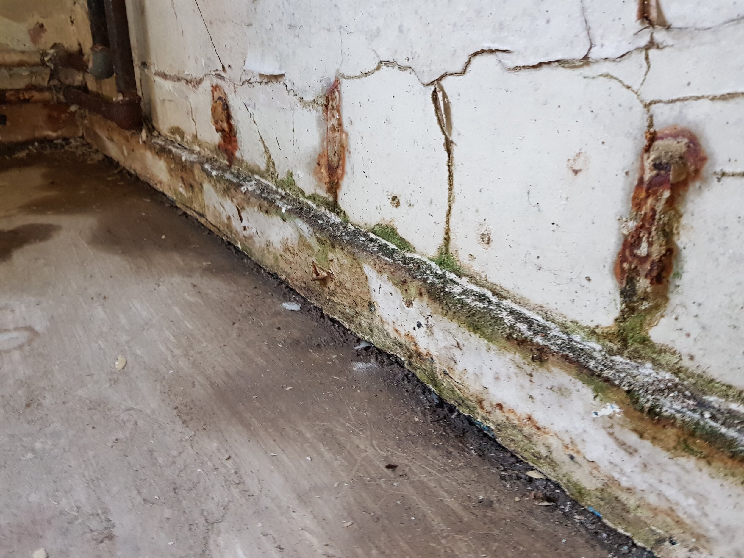 C W Johnson Limited Chartered Surveyors - Dampness and spalled plaster