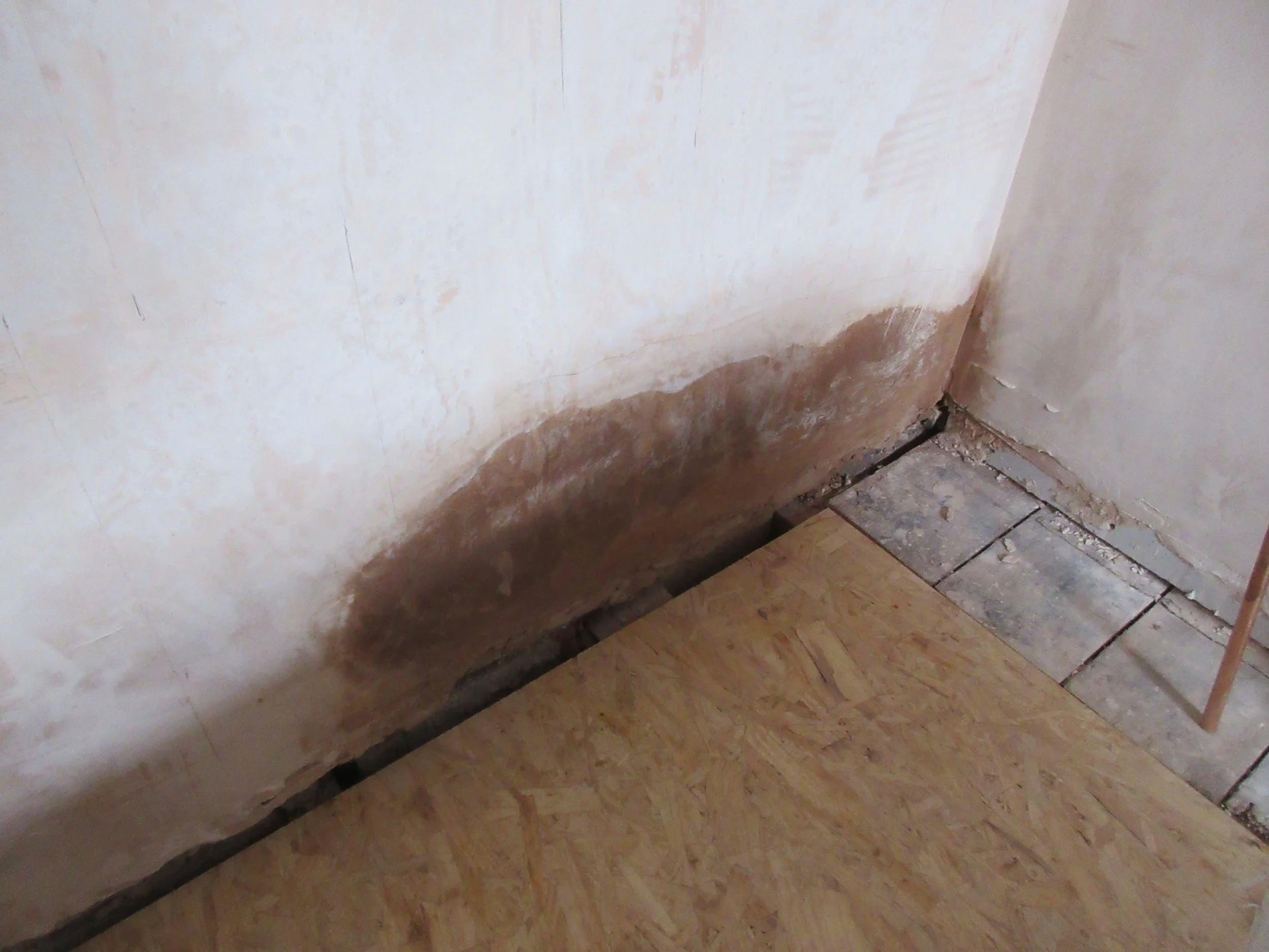 Remedial works following damp ingress