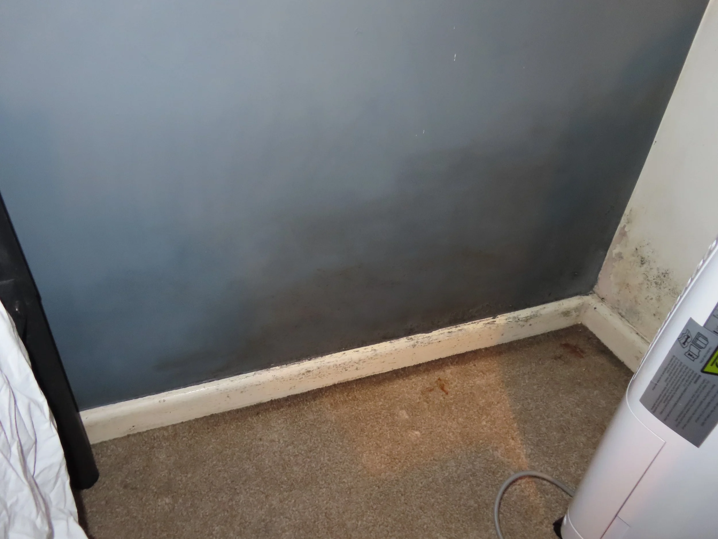 Defect Diagnosis - Damp Ingress