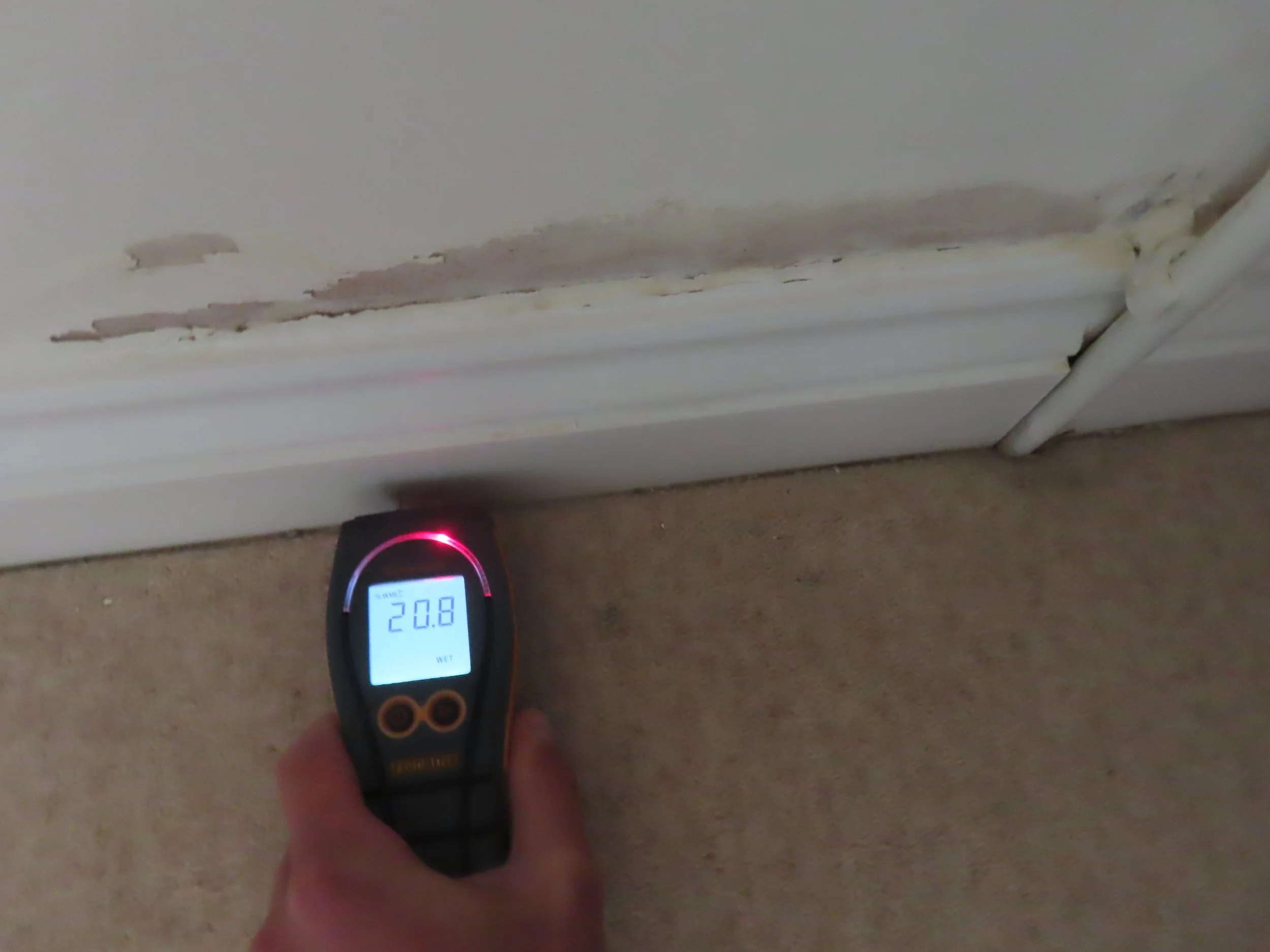 Defect Diagnosis - Damp Ingress