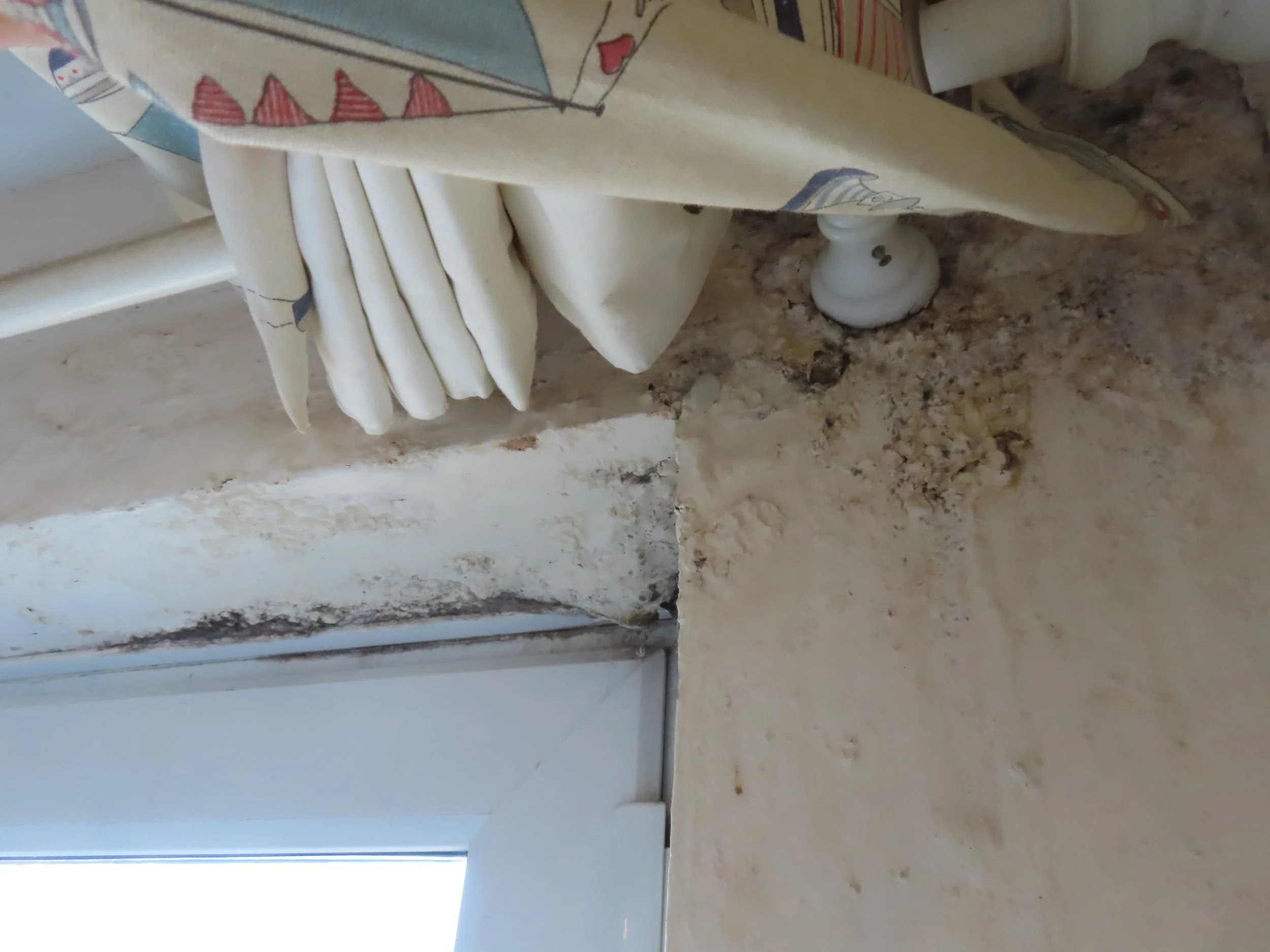 Defect Diagnosis - Water Ingress