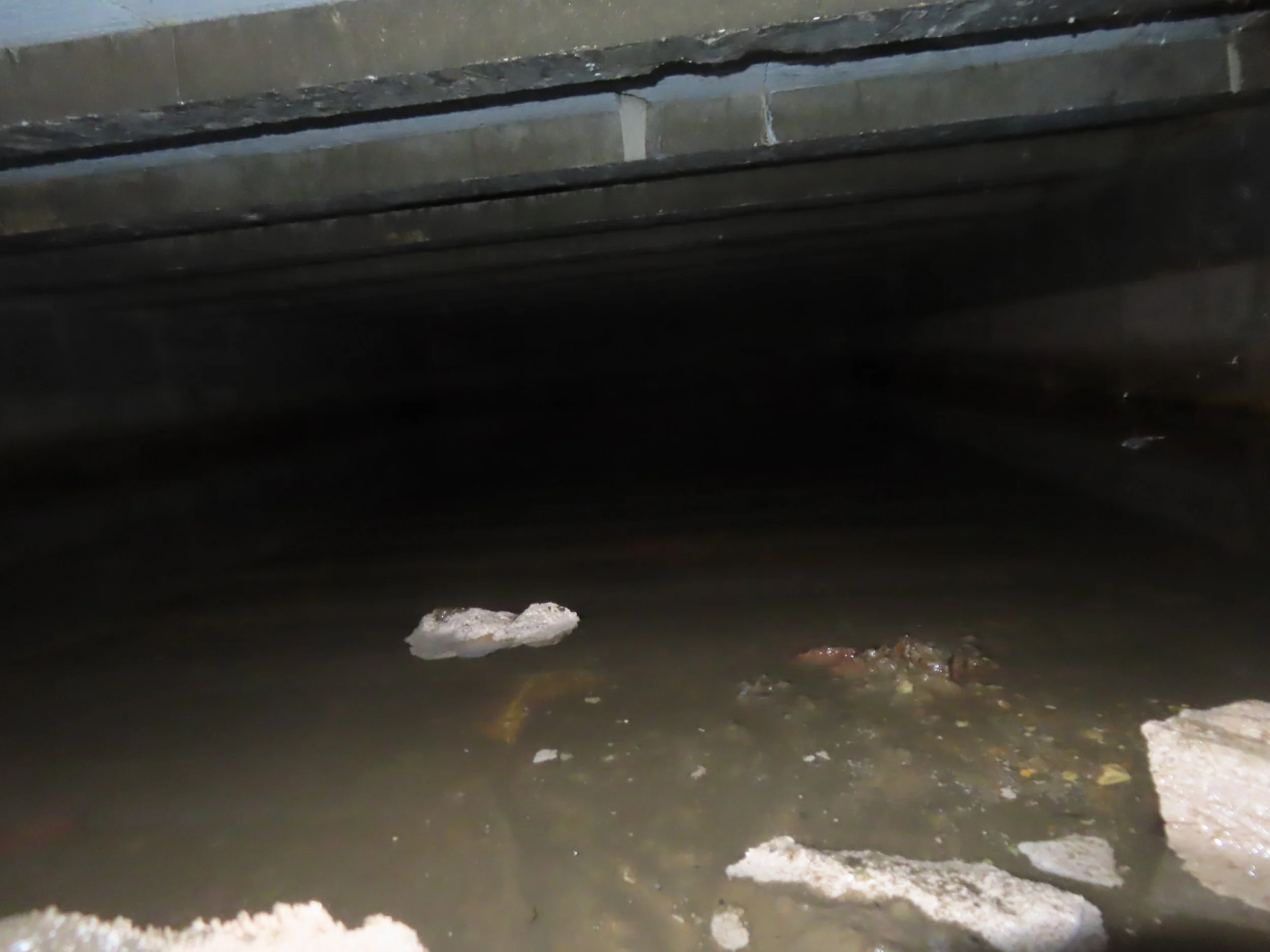 Defect Diagnosis - Reported water ponding