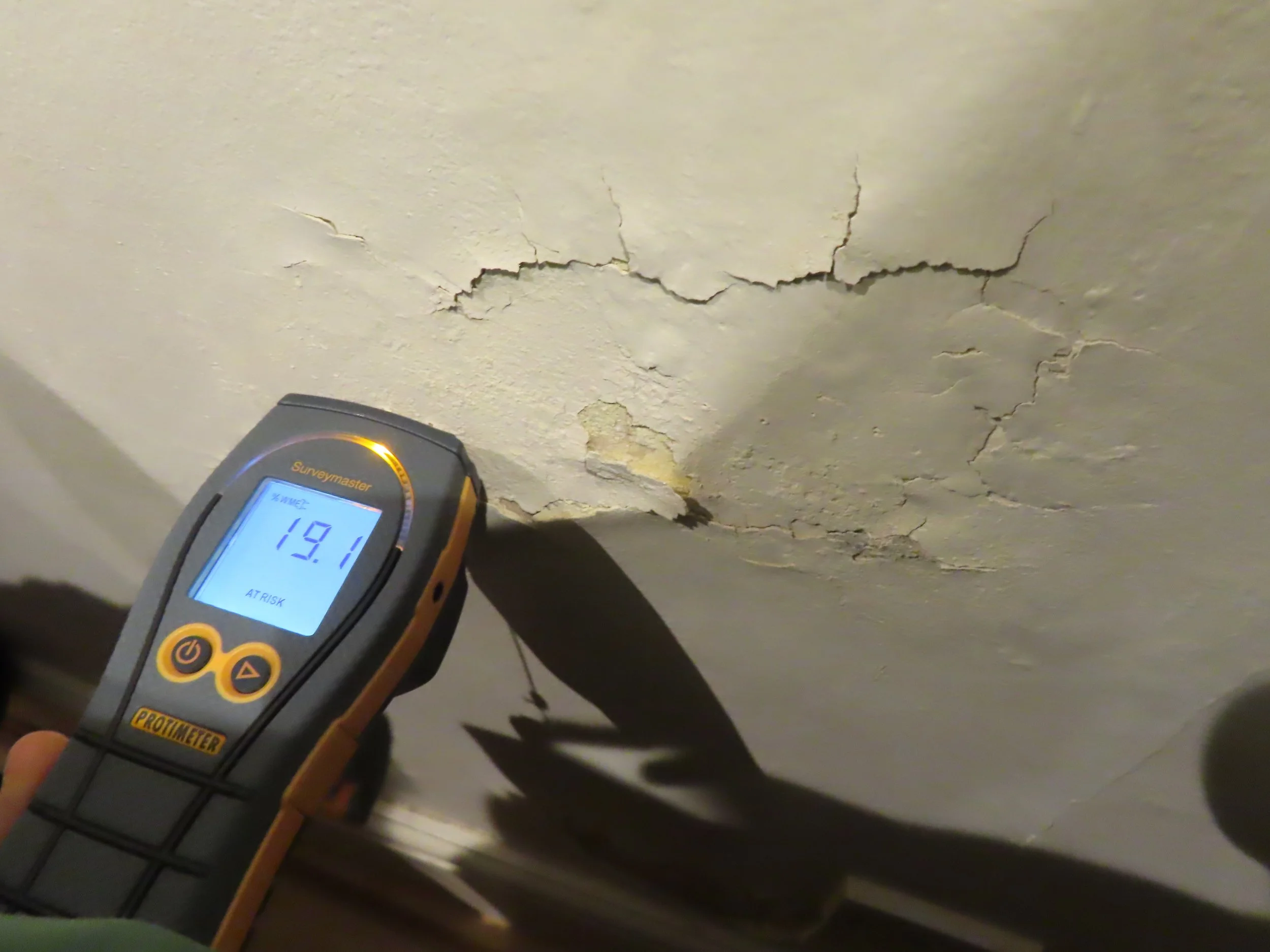 Defect Diagnosis - Damp ingress