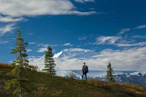 A day hiker enjoys the views of the north side of Denali (Mt. McKinley).