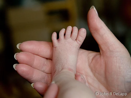 A beautiful new life.