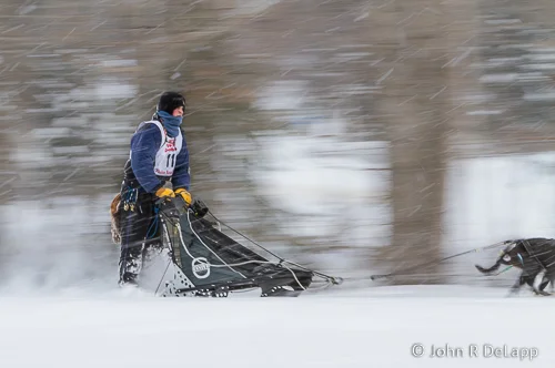 North American Sled Dog Championship