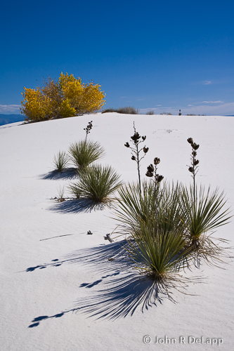 DeLapp_061026_MG_1917-Edit.jpg