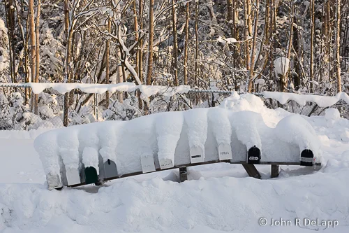 DeLapp_070108_MG_2366.jpg