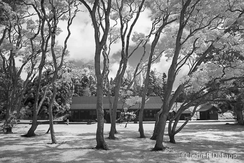 DeLapp_070407_CRW_0241.jpg